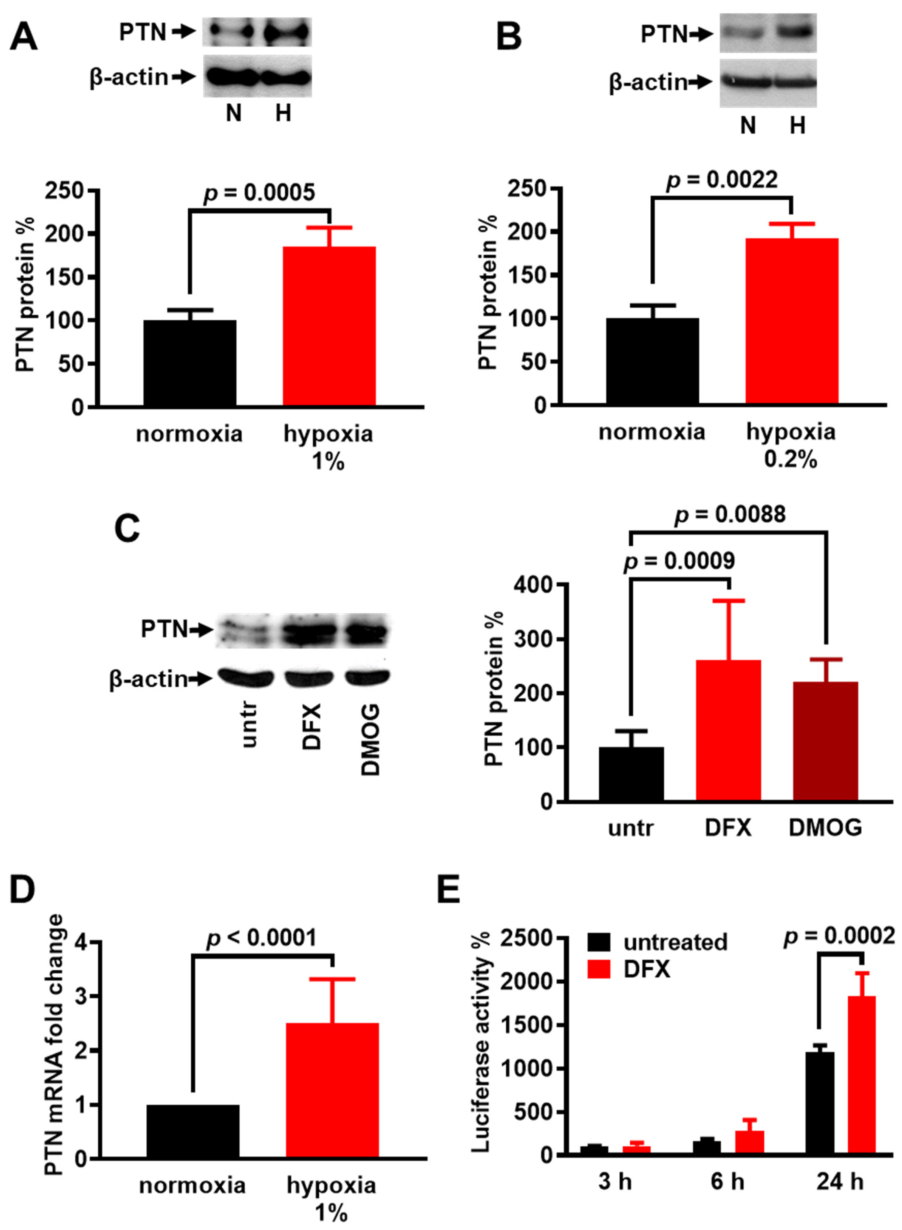 Cancers 17 01516 g001 Cancers 17 01516 g001