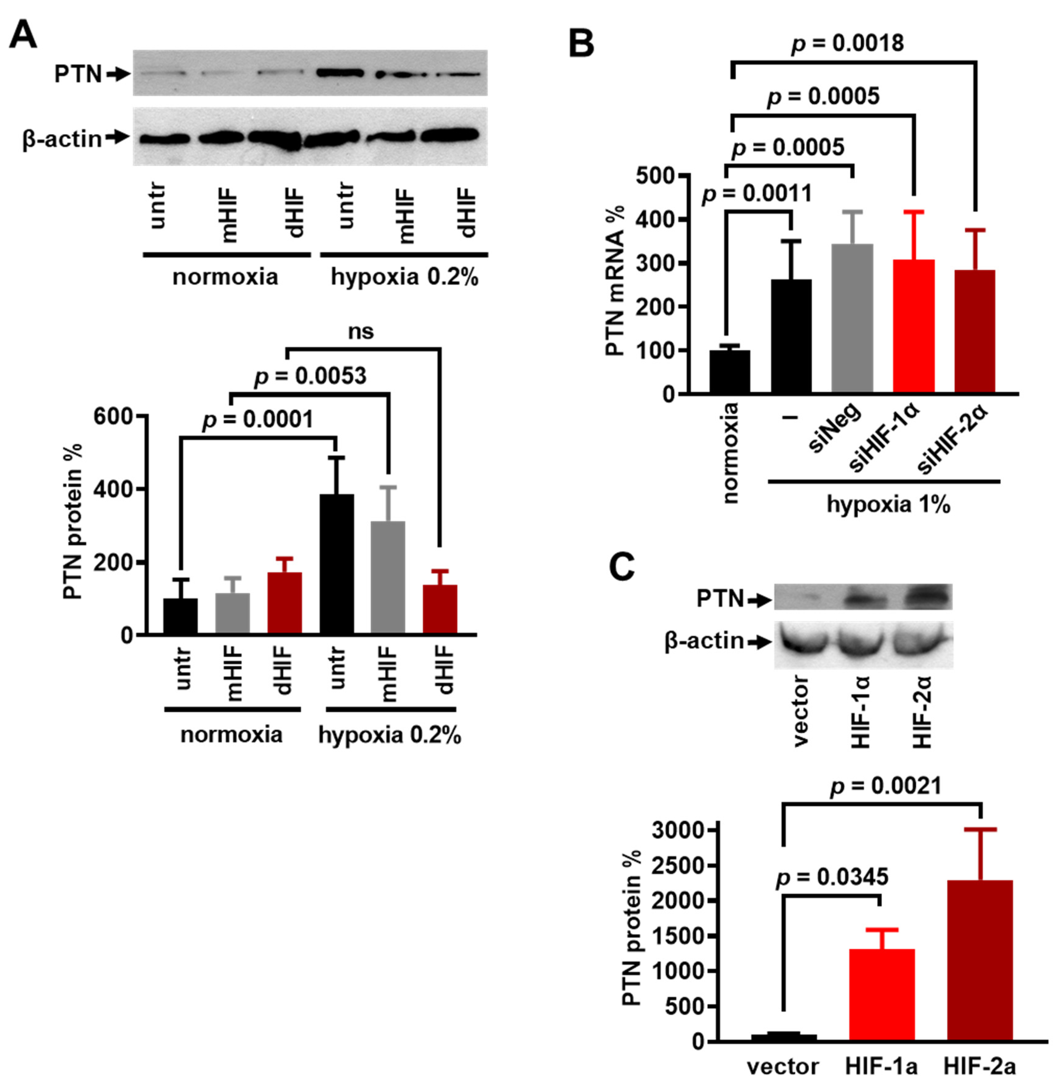 Cancers 17 01516 g002 Cancers 17 01516 g002