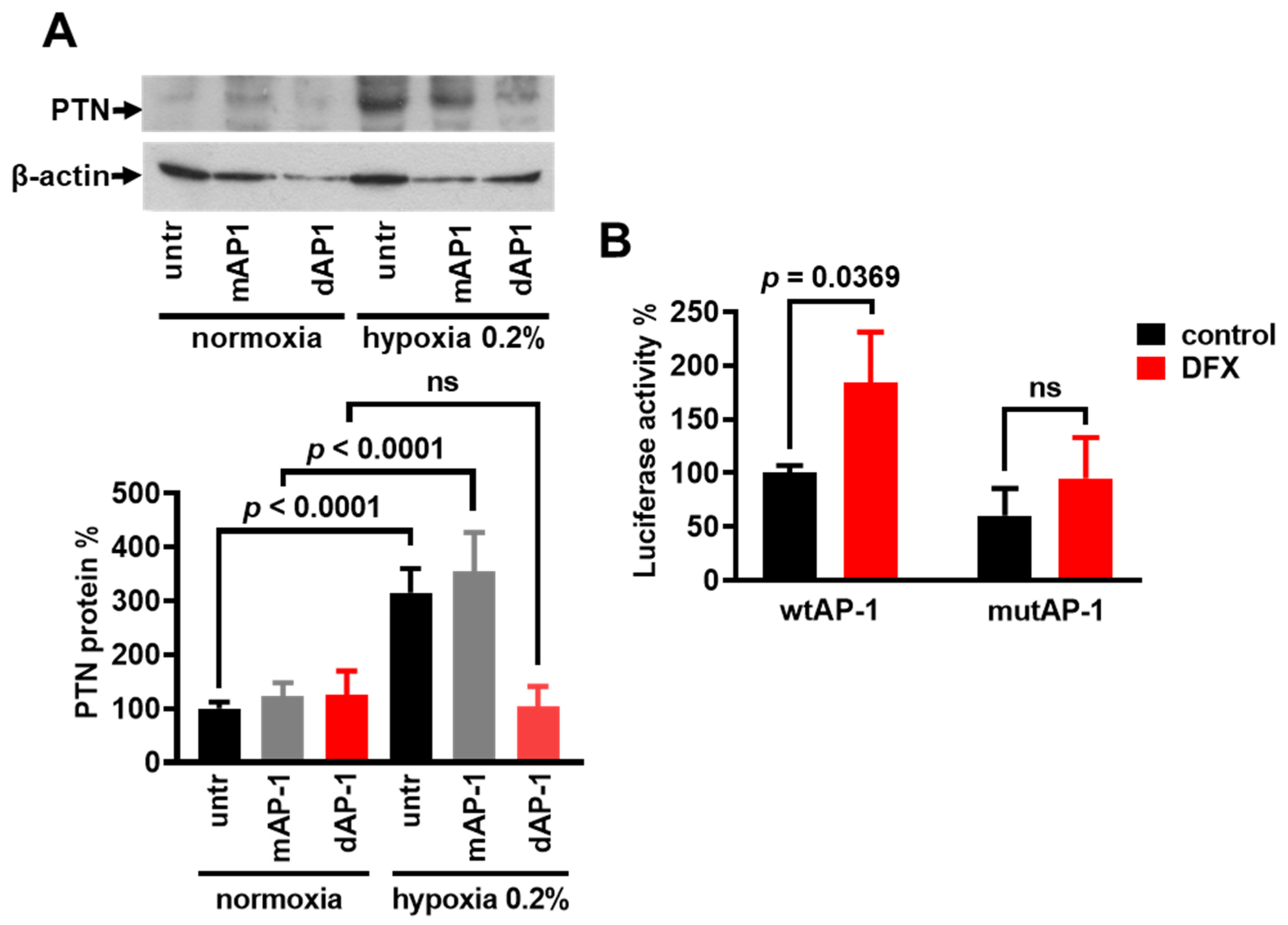 Cancers 17 01516 g003 Cancers 17 01516 g003