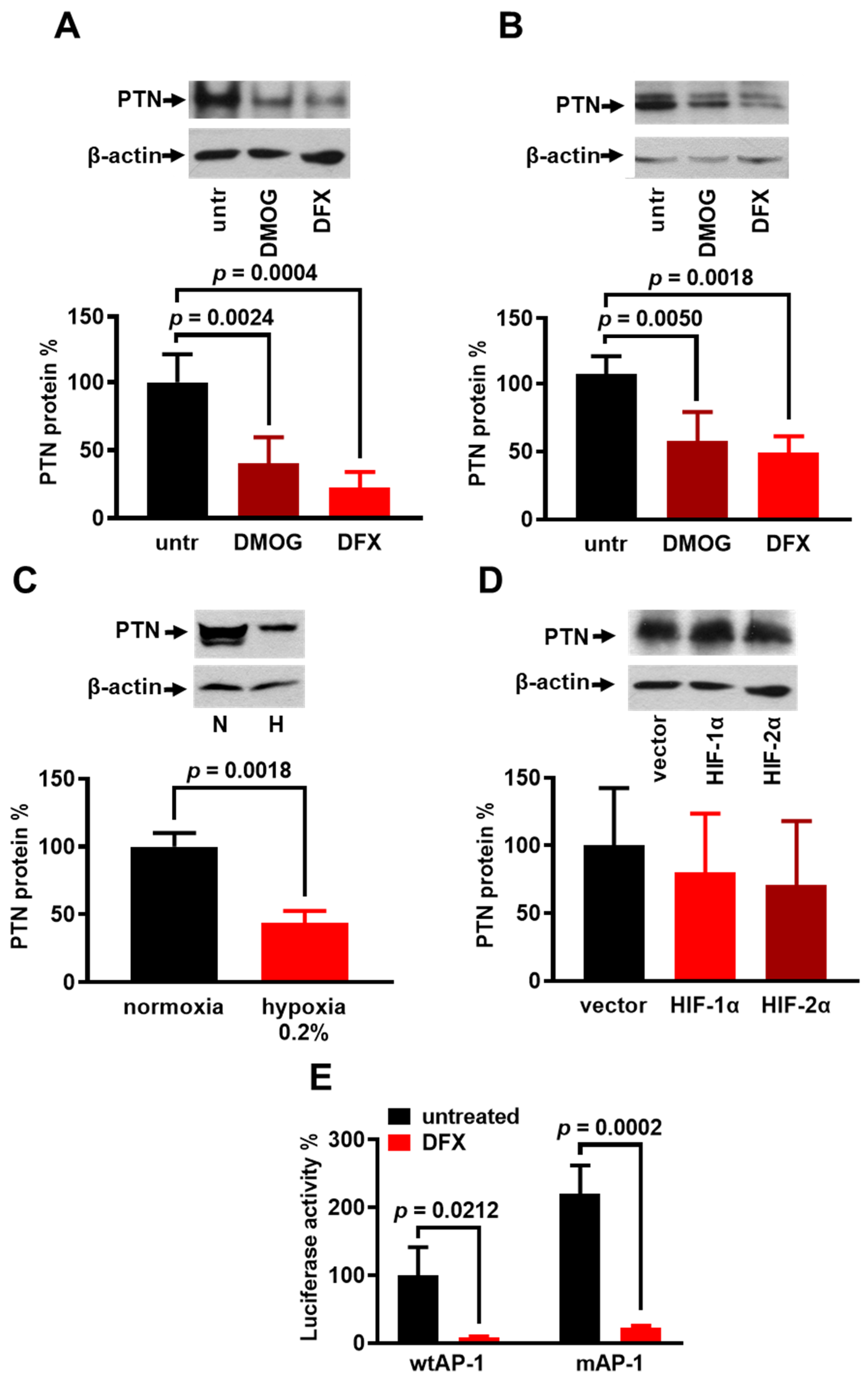 Cancers 17 01516 g005 Cancers 17 01516 g005