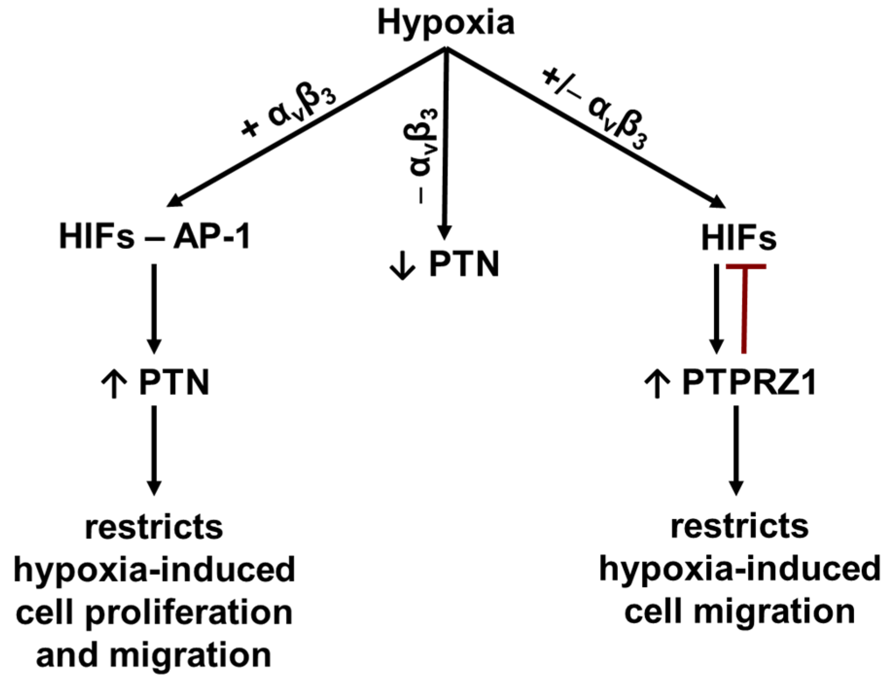 Cancers 17 01516 g007 Cancers 17 01516 g007