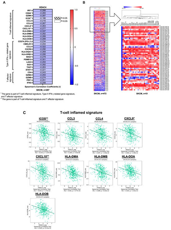 Elevated HDAC4 Expression Is Associated with Reduced T-Cell