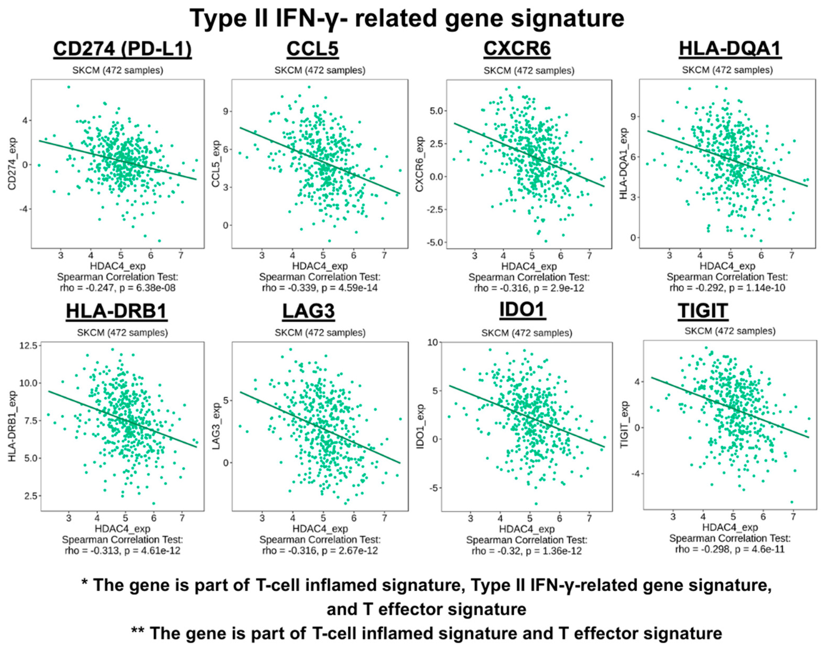 Cancers 17 01518 g001b