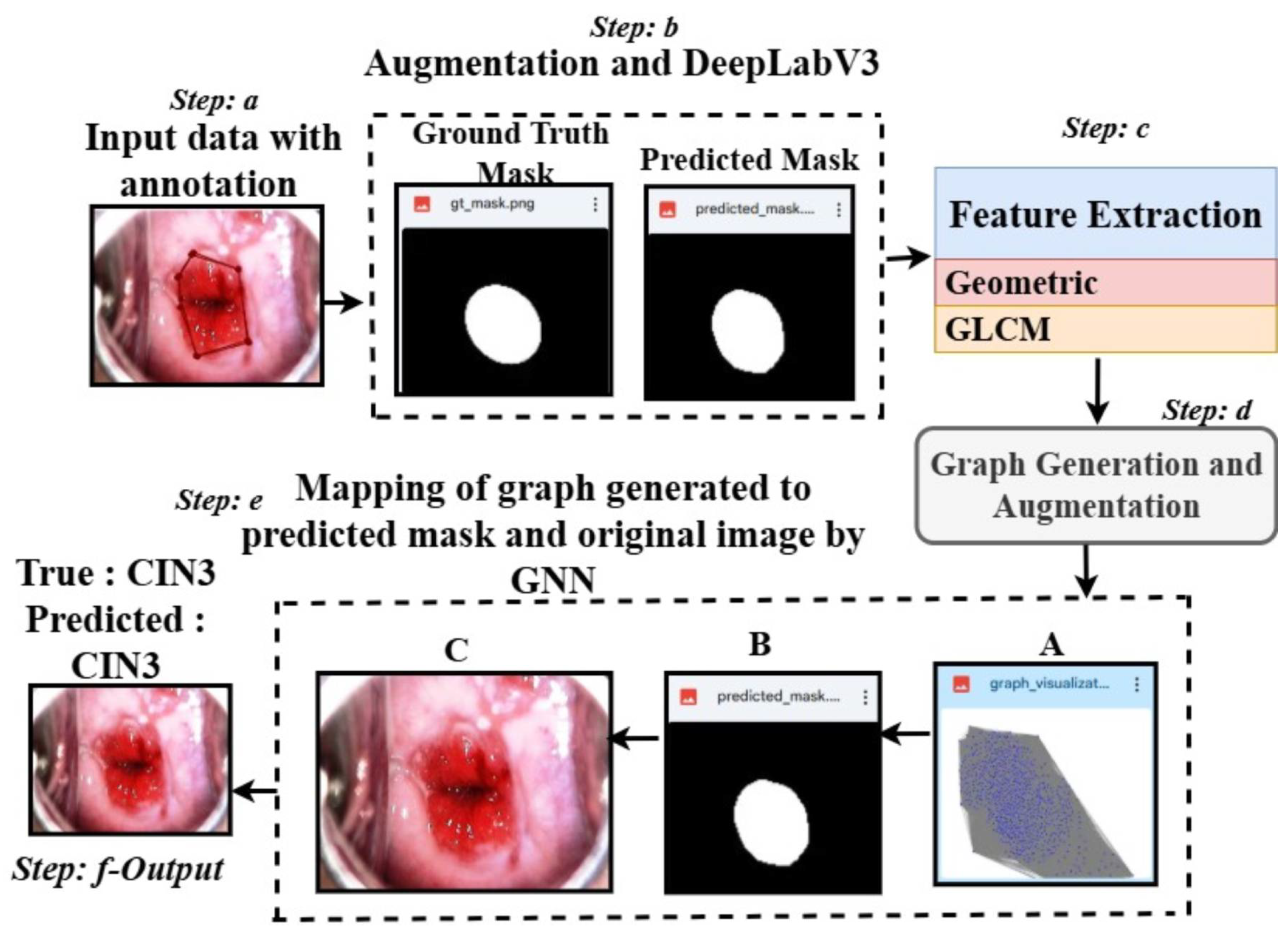 Cancers 17 01521 g001
