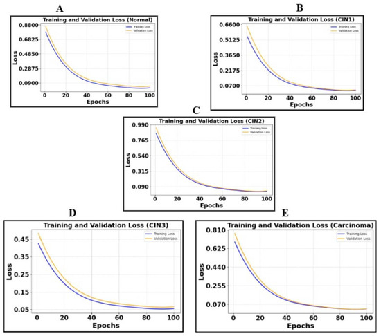 Multi-Modal Graph Neural Networks for Colposcopy Data Classification ...