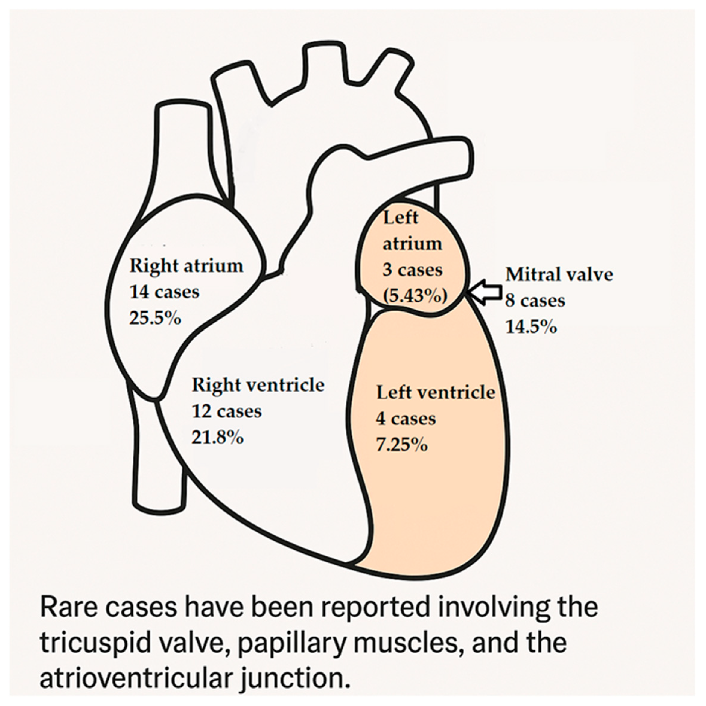 Cancers 17 01532 g005