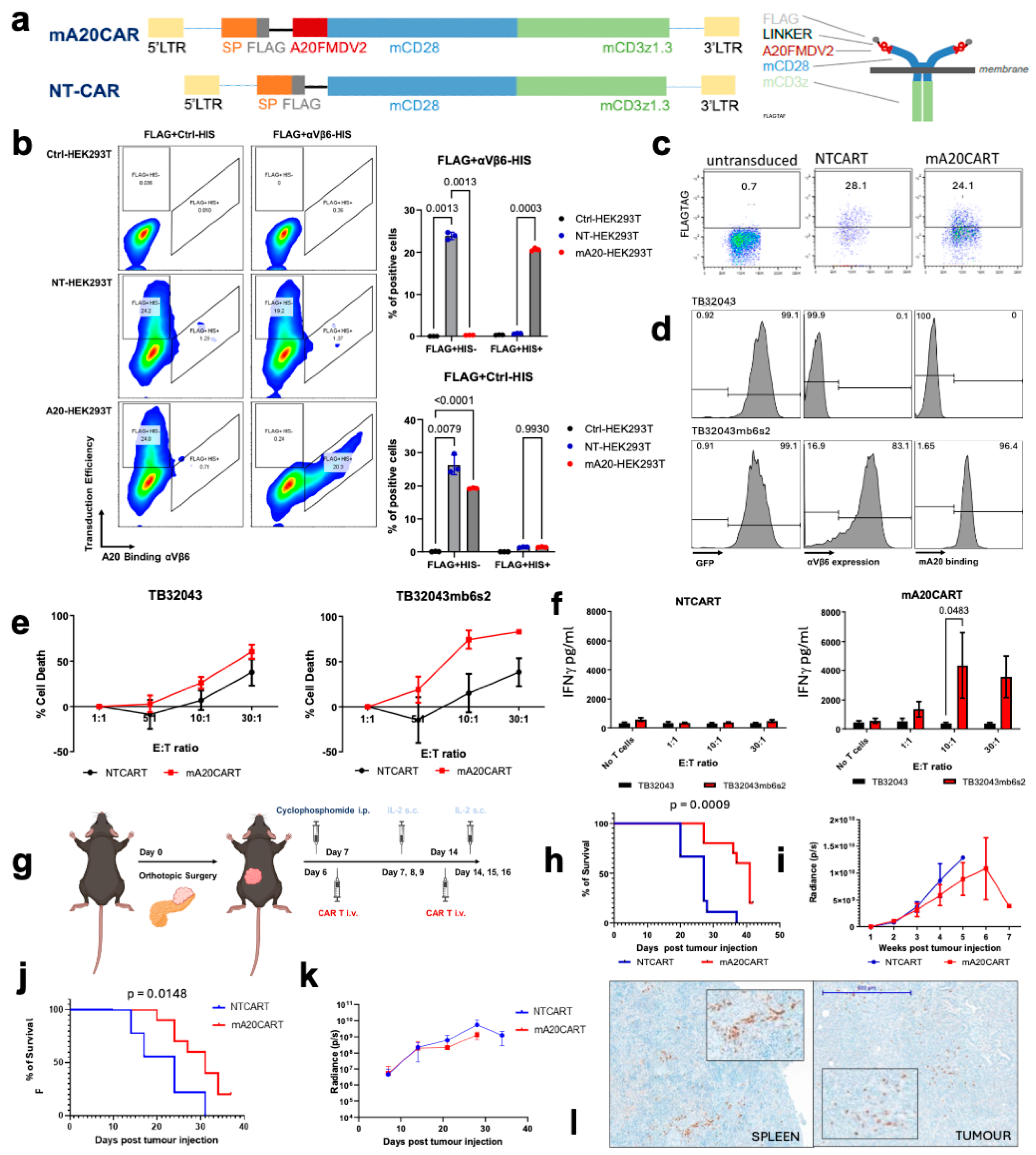 Cancers 17 01534 g001