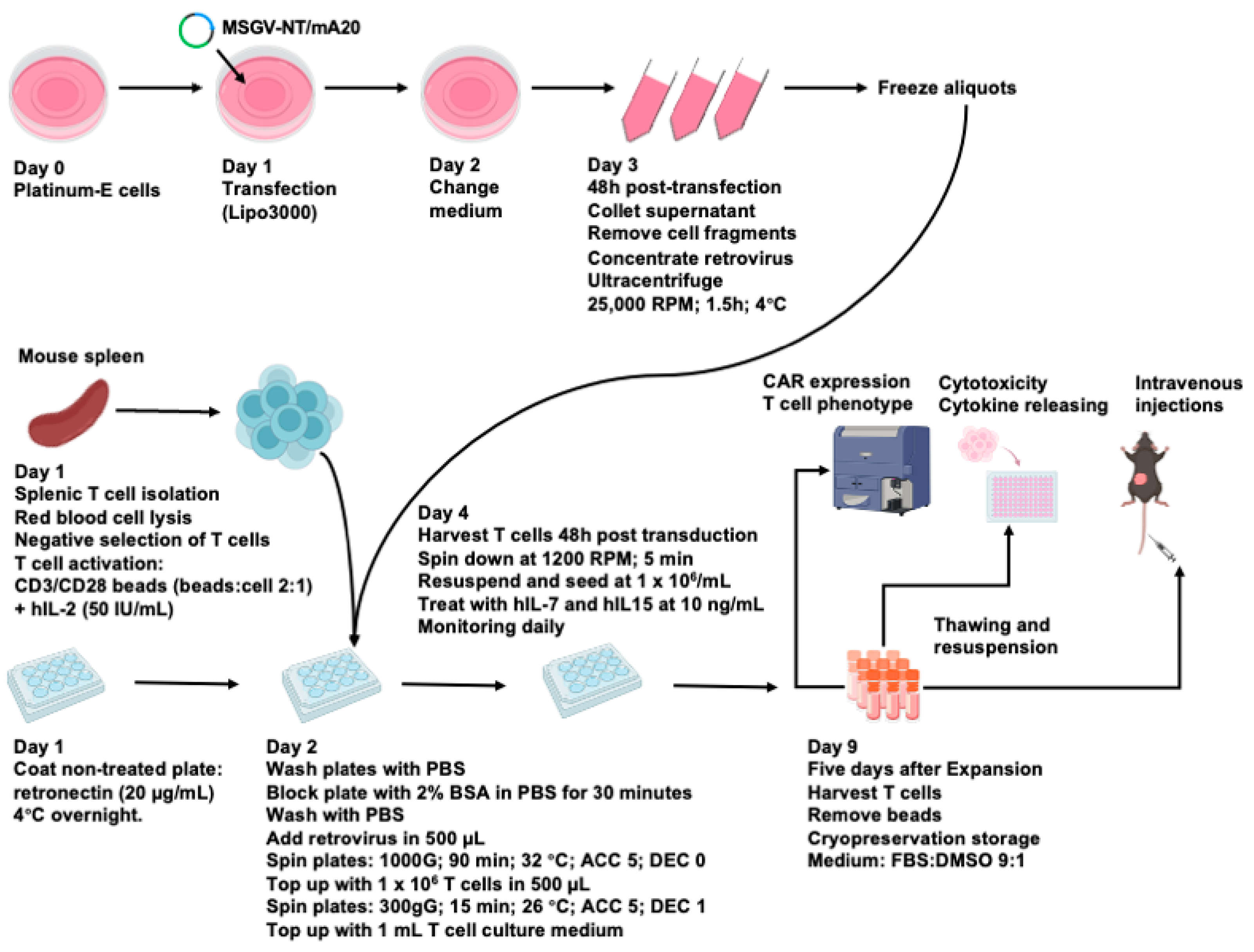 Cancers 17 01534 g002