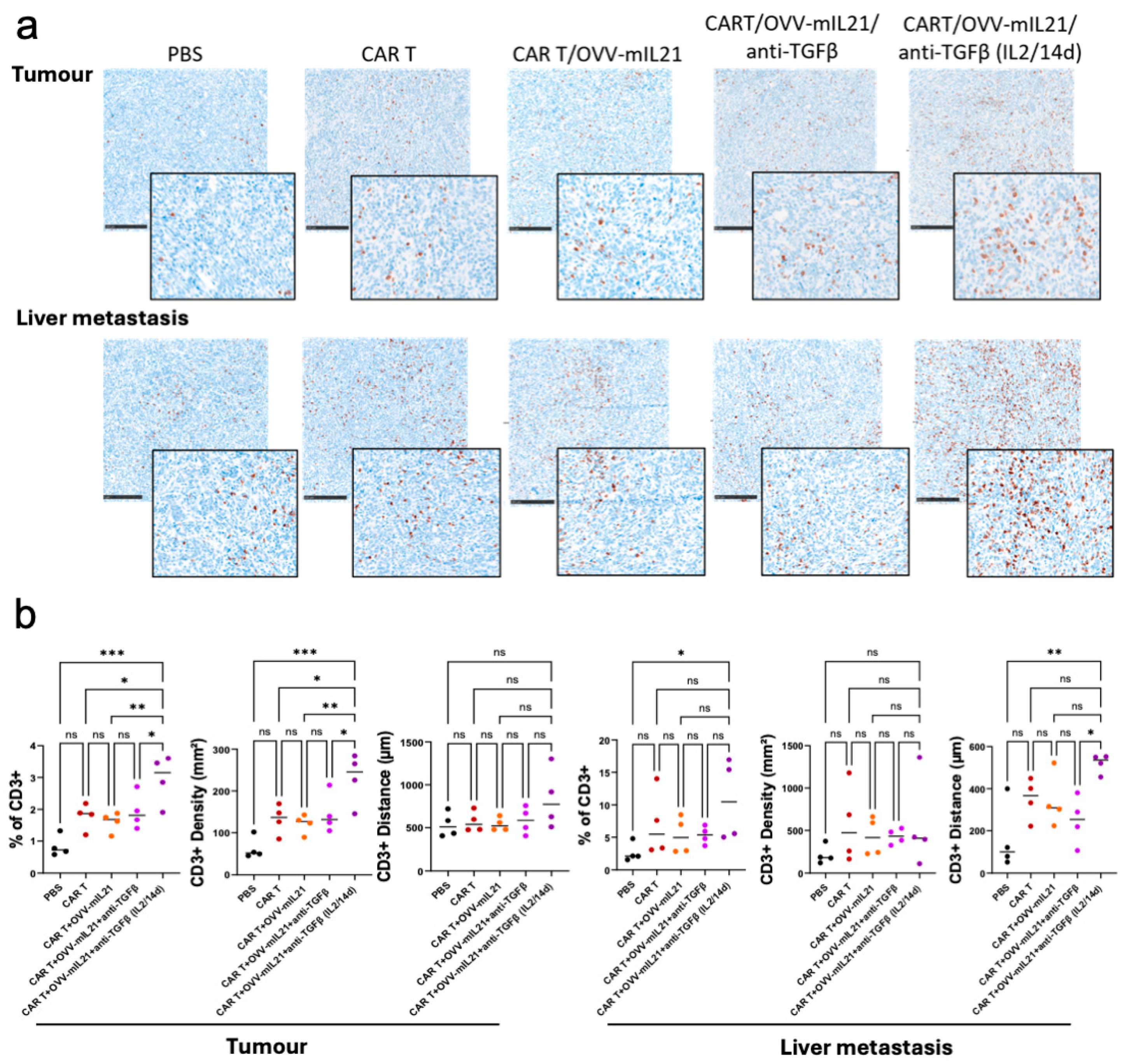 Cancers 17 01534 g006
