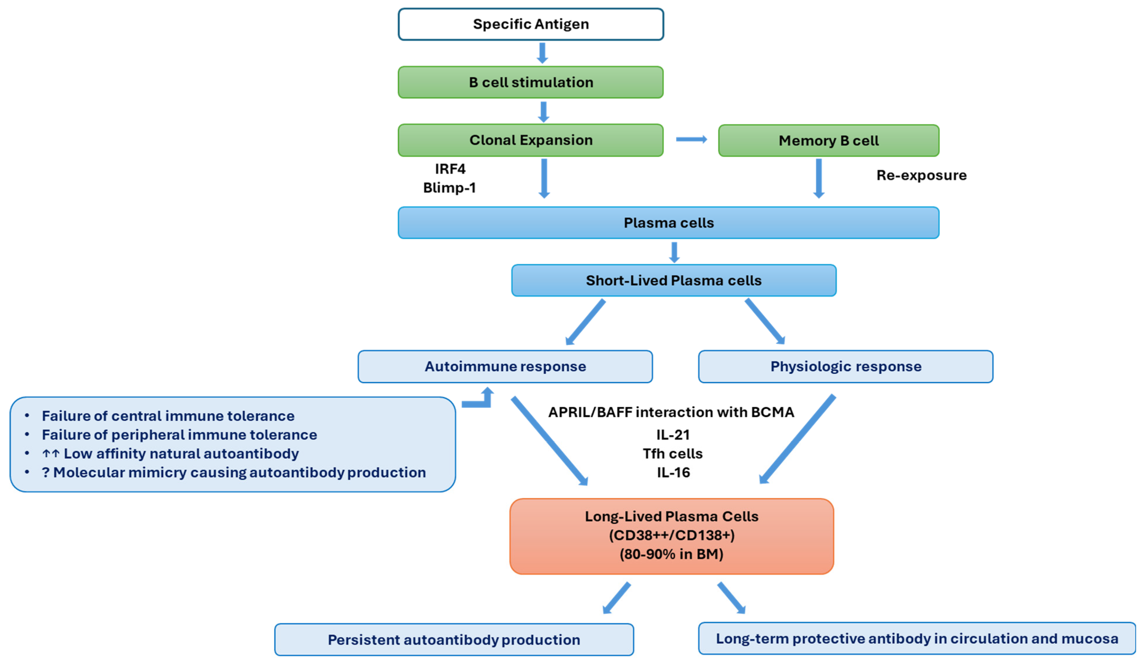 Cancers 17 01537 g003