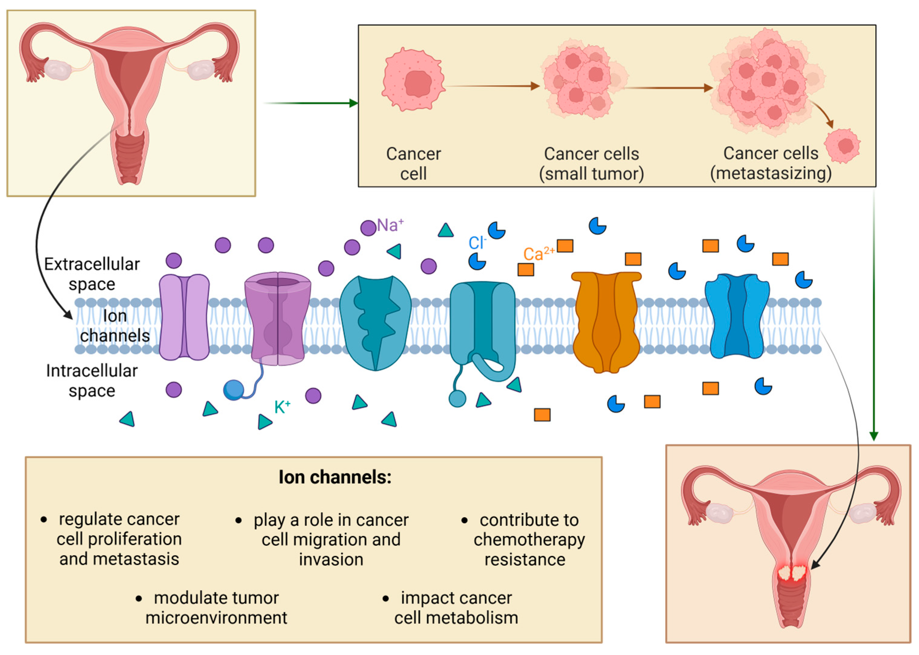 Cancers 17 01538 g001