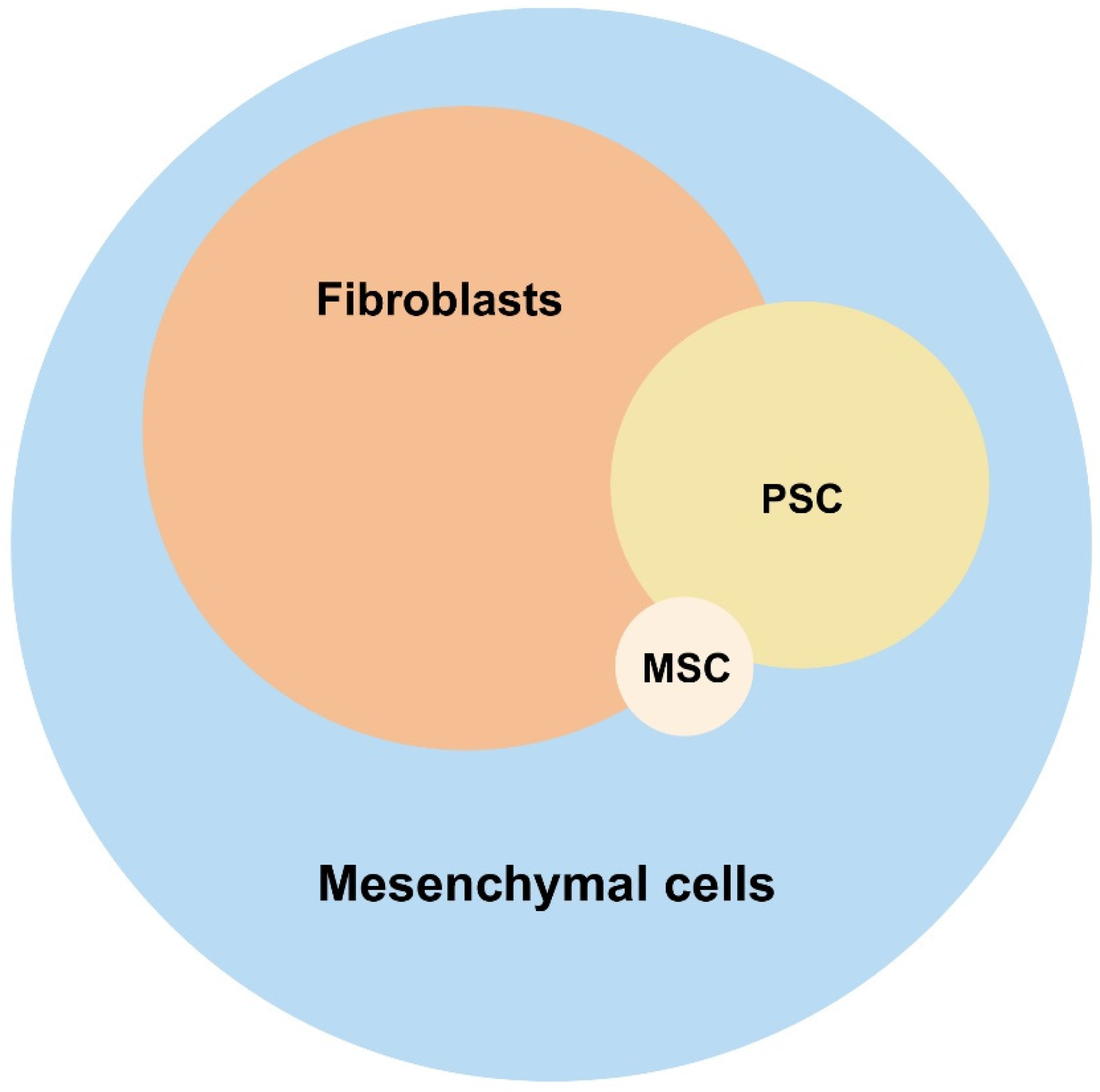 Cancers 17 01541 g001