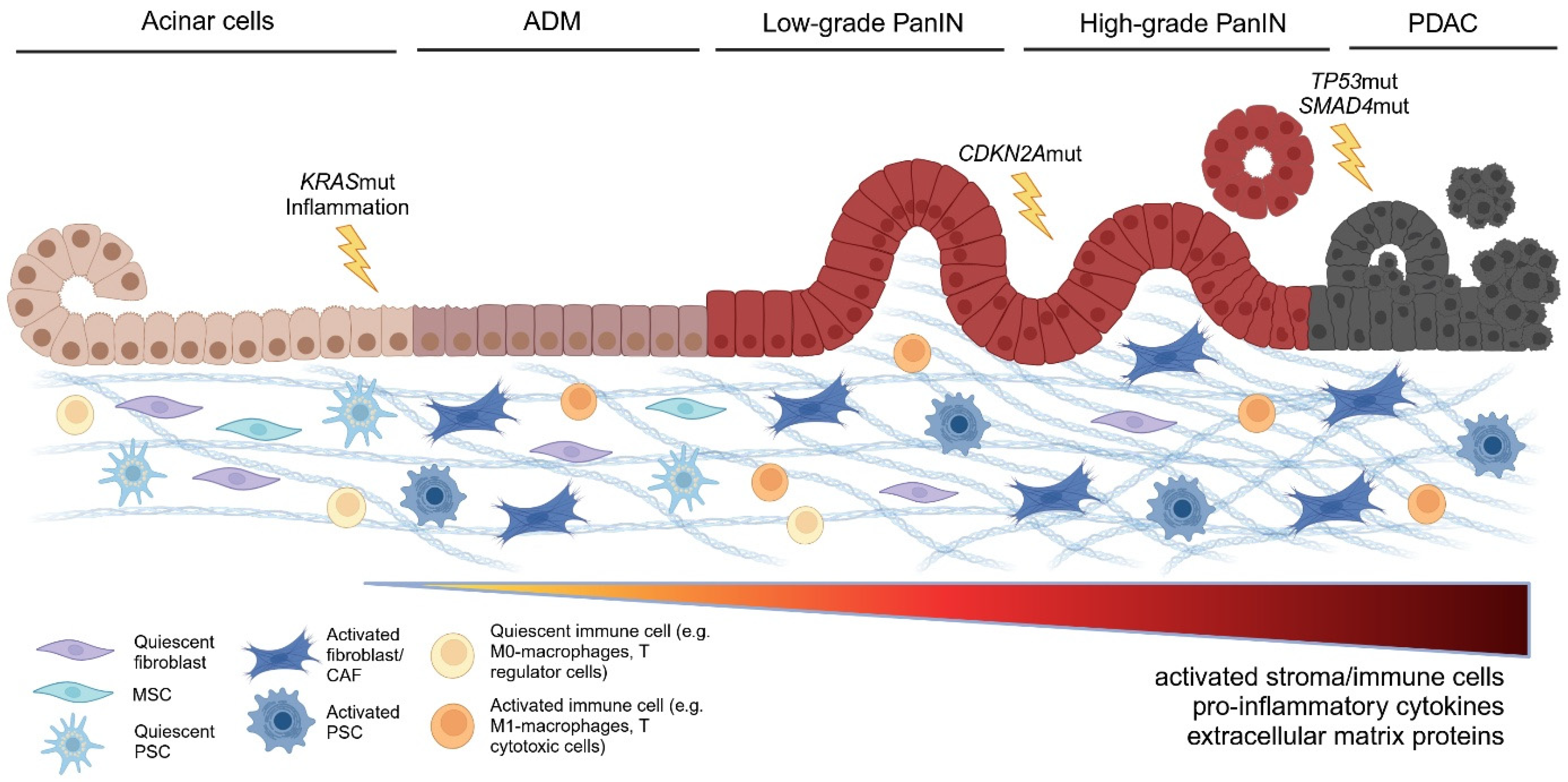 Cancers 17 01541 g002