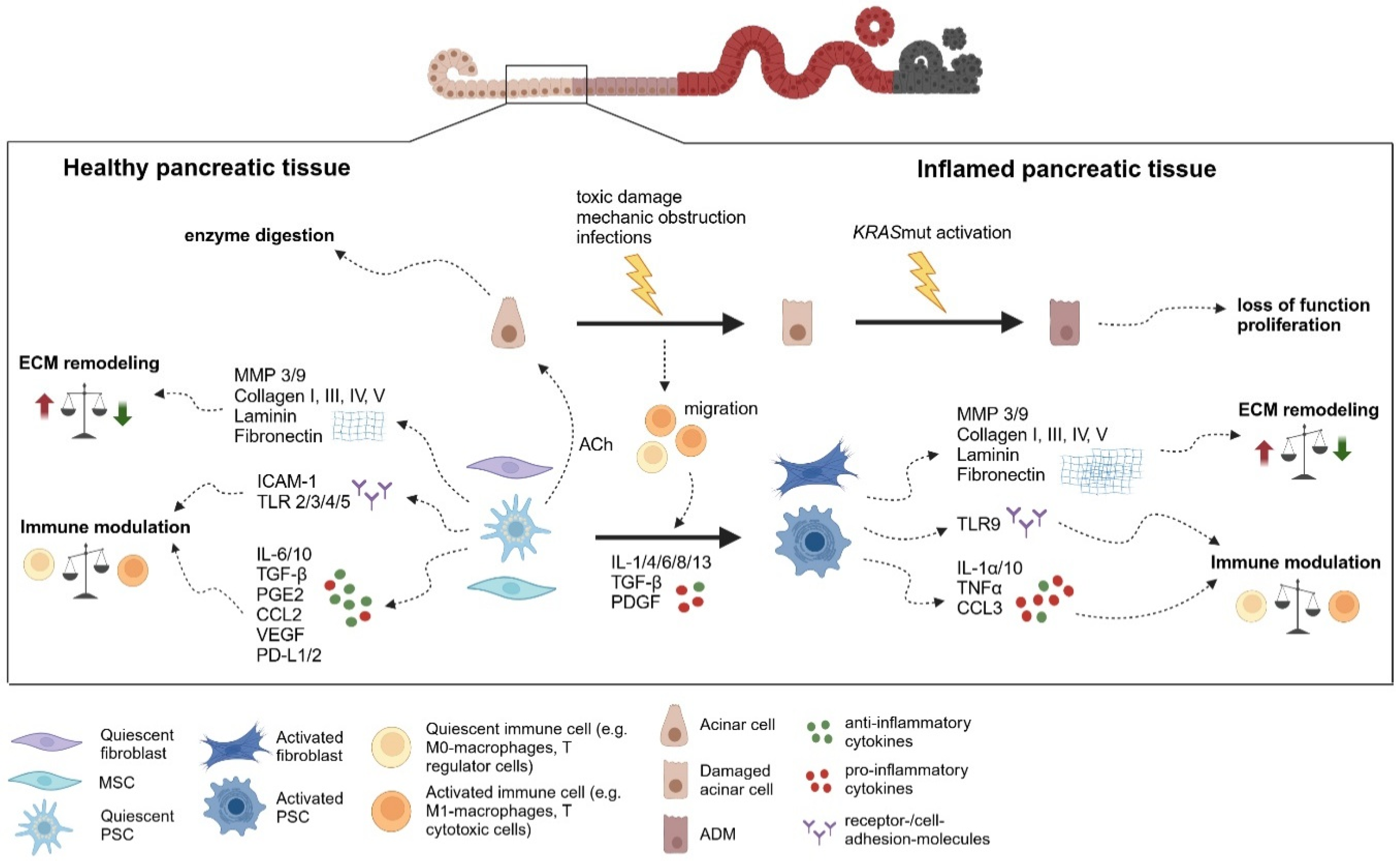 Cancers 17 01541 g003