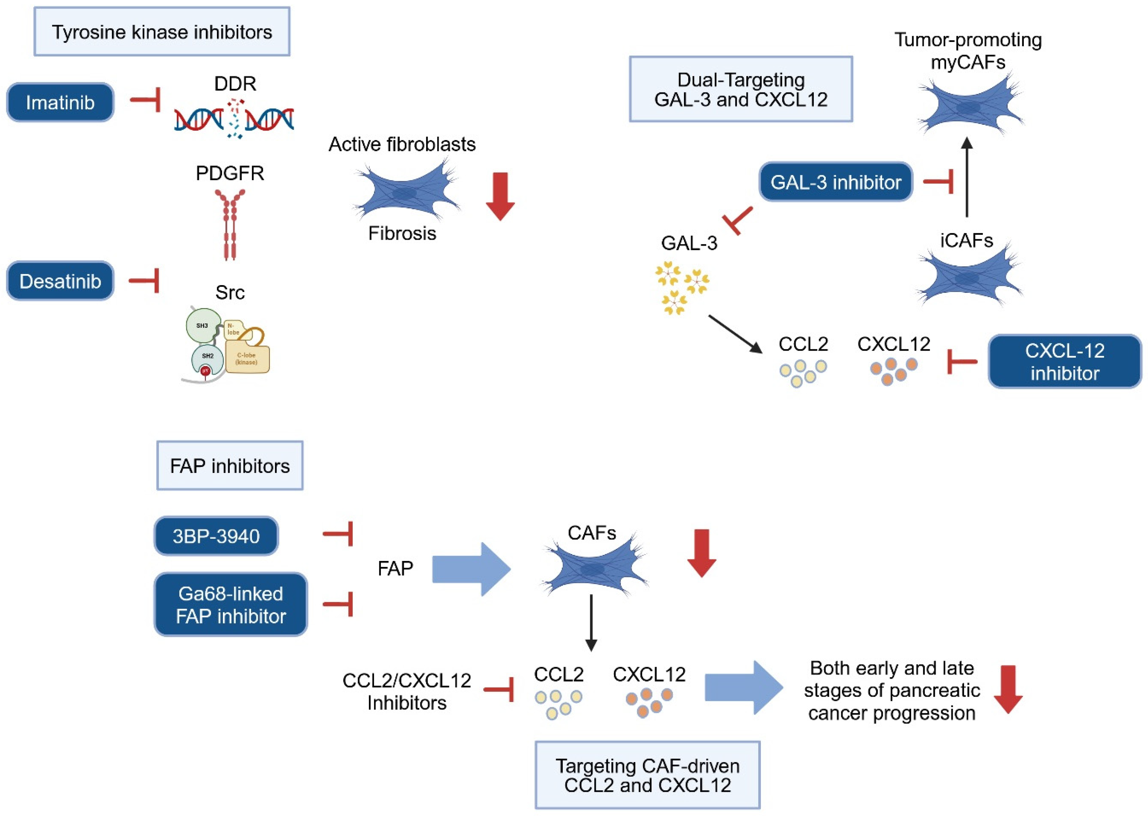 Cancers 17 01541 g005