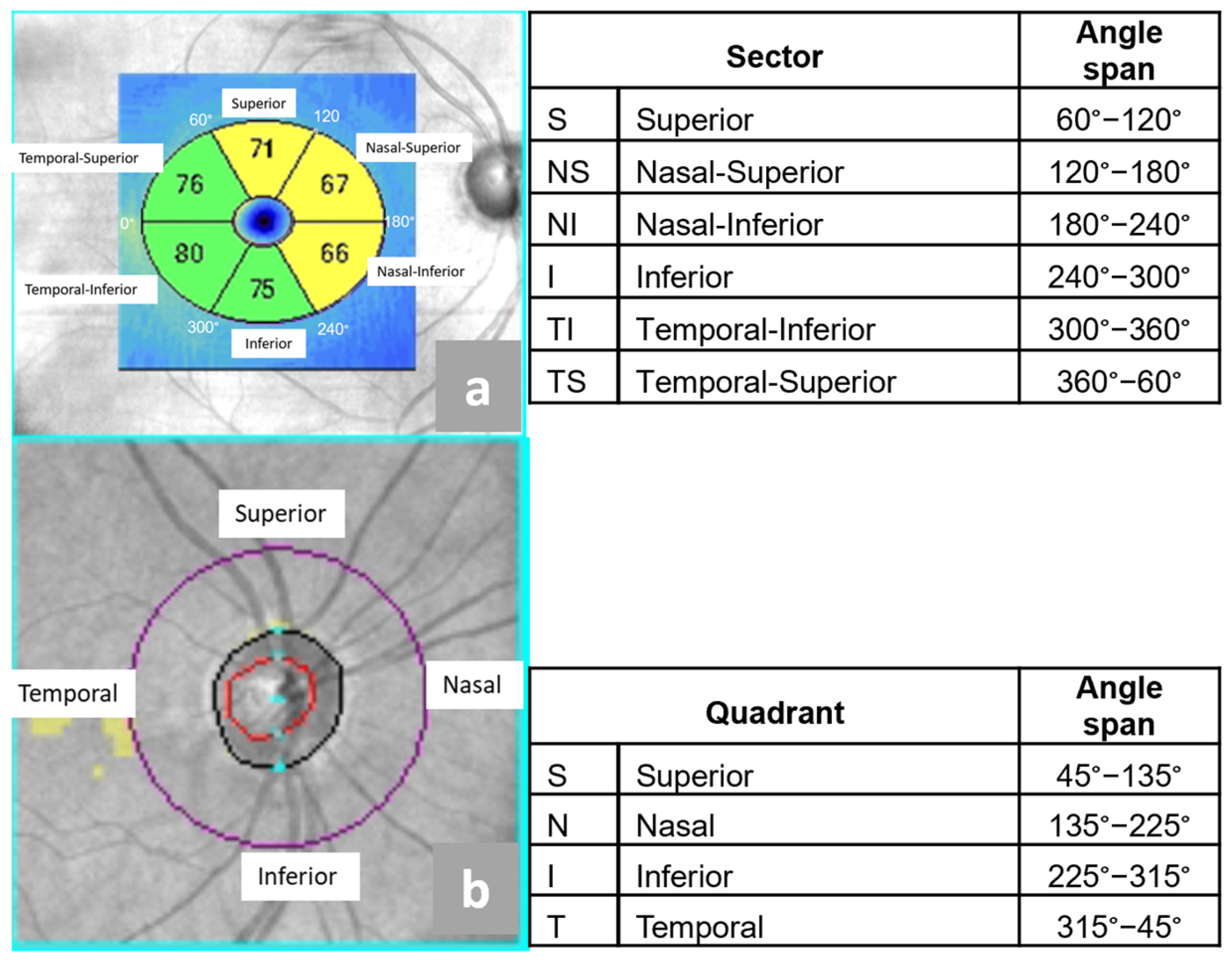 Cancers 17 01542 g001