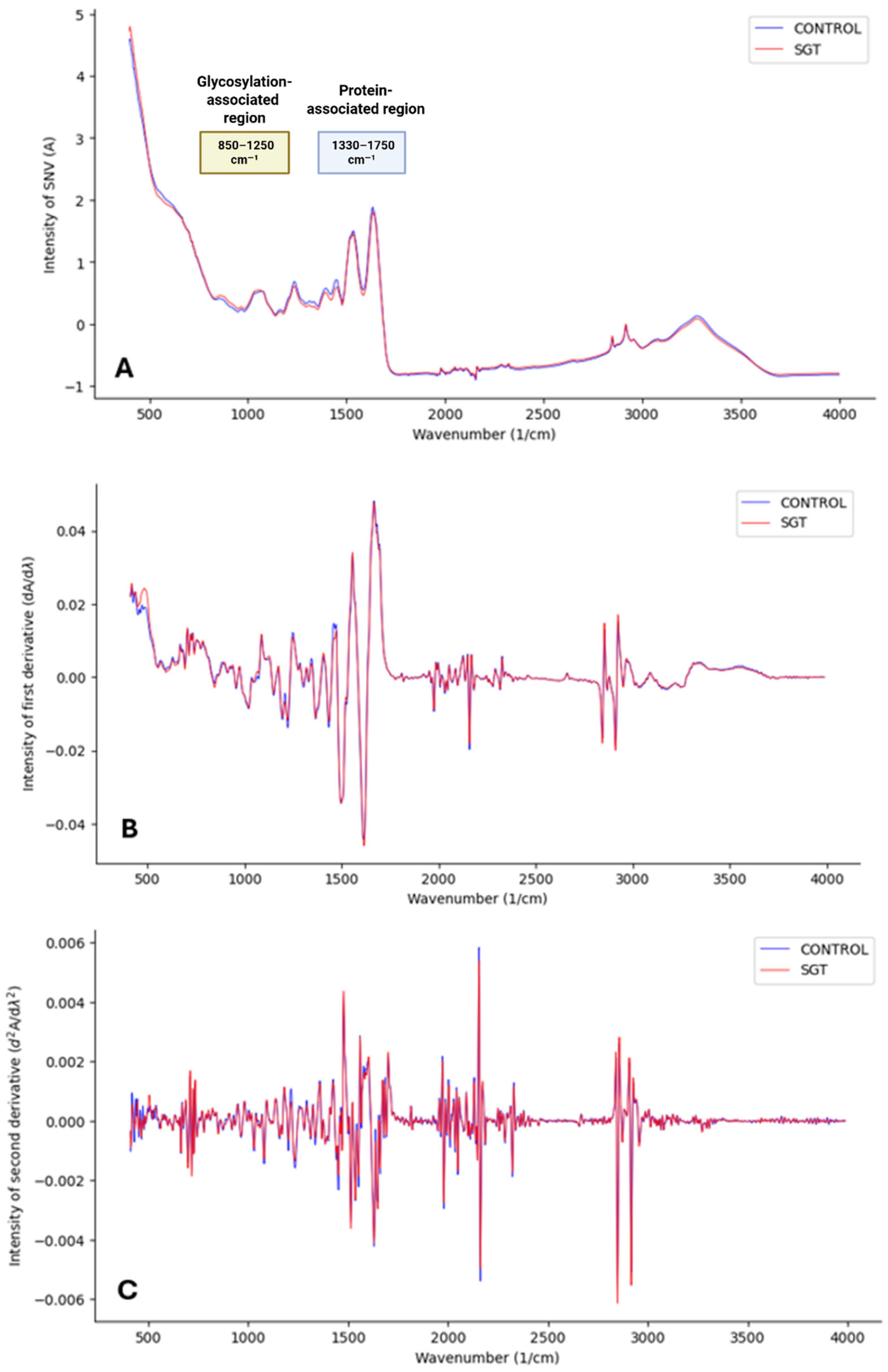 Cancers 17 01545 g001