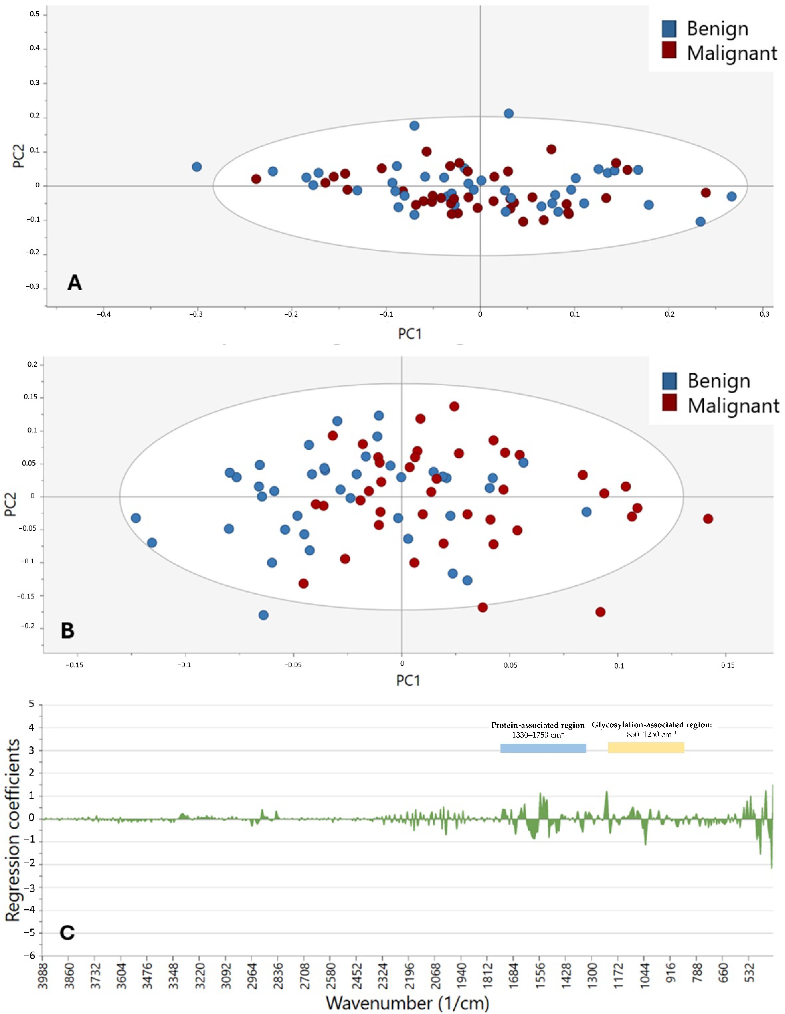 Cancers 17 01545 g003