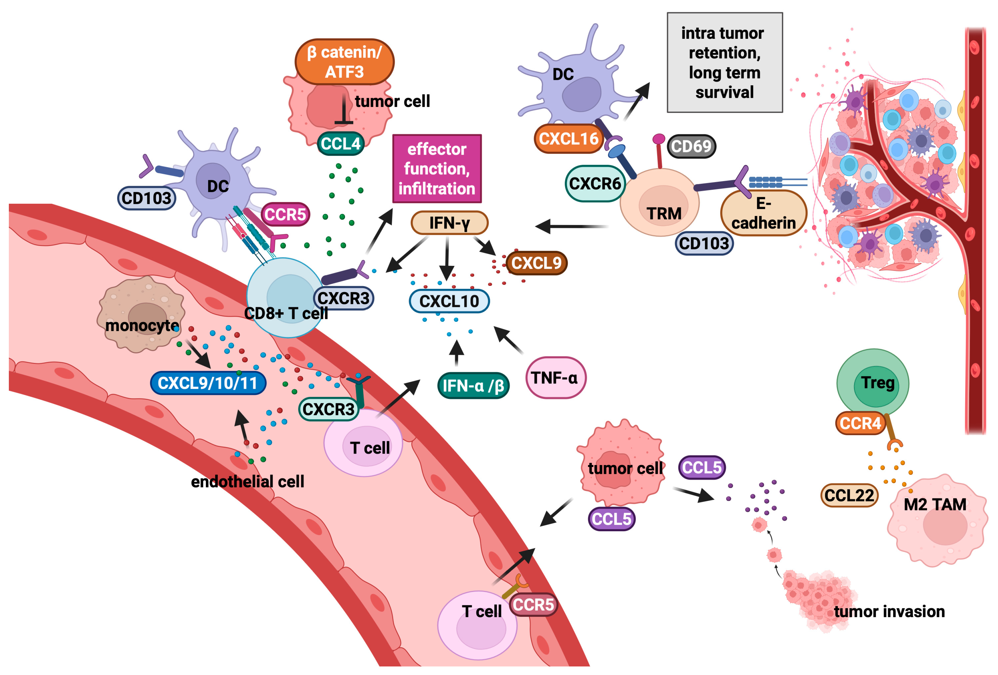 Cancers 17 01547 g002