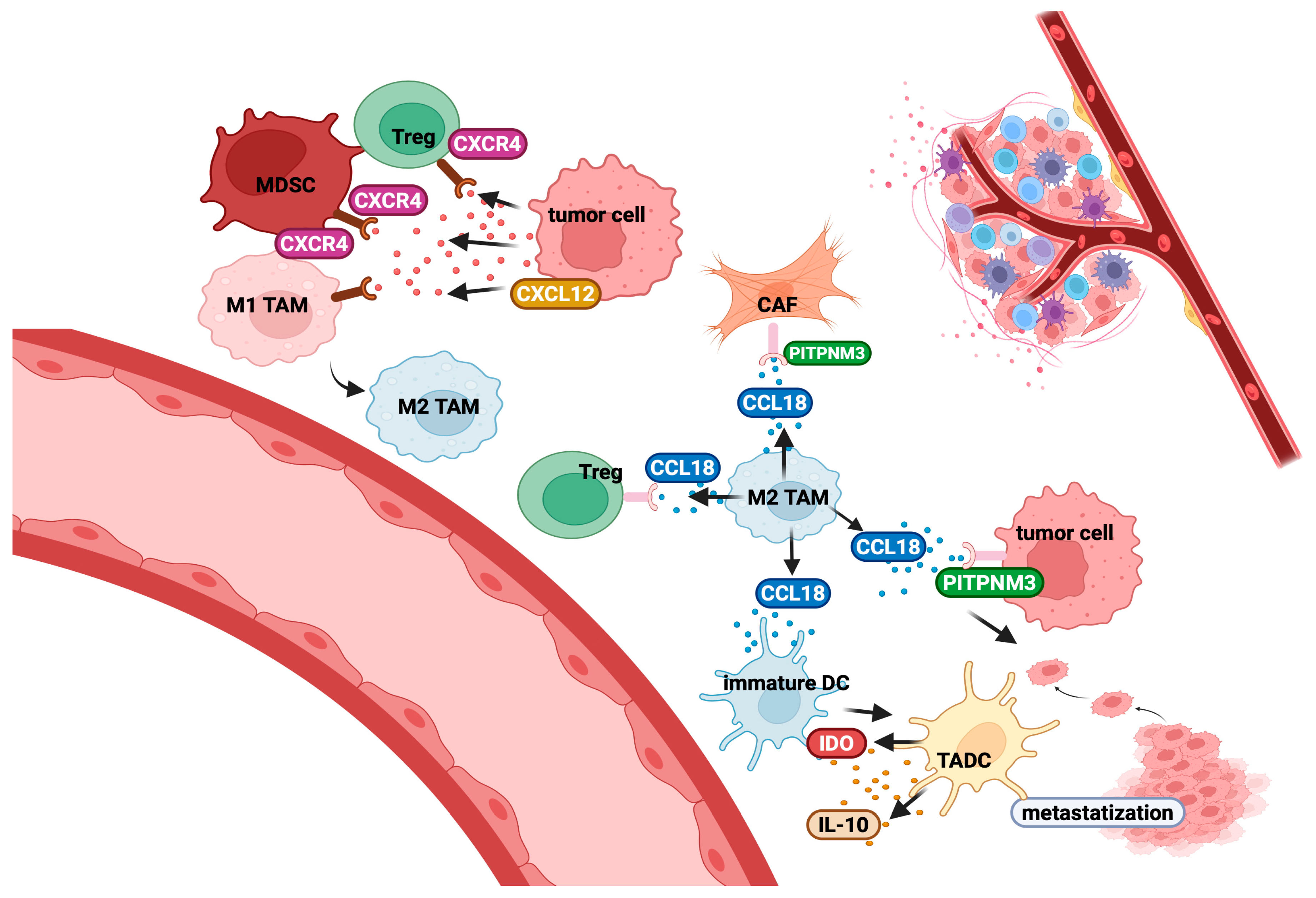 Cancers 17 01547 g003