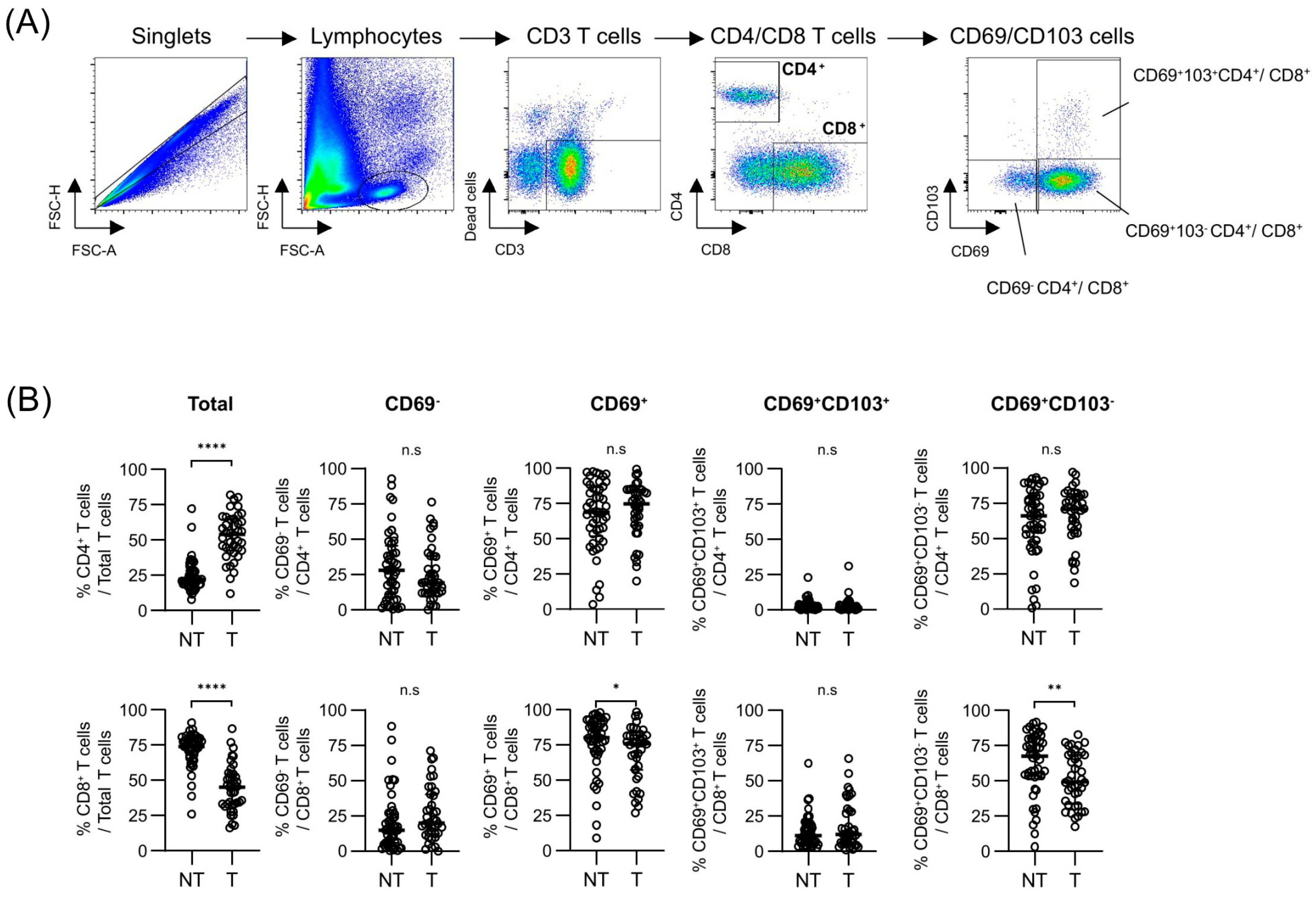 Cancers 17 01548 g001