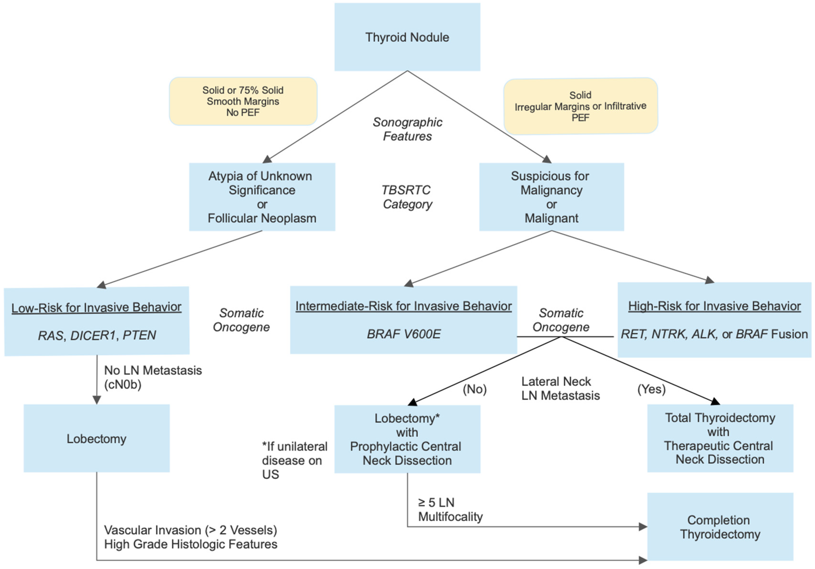 Cancers 17 01549 g001