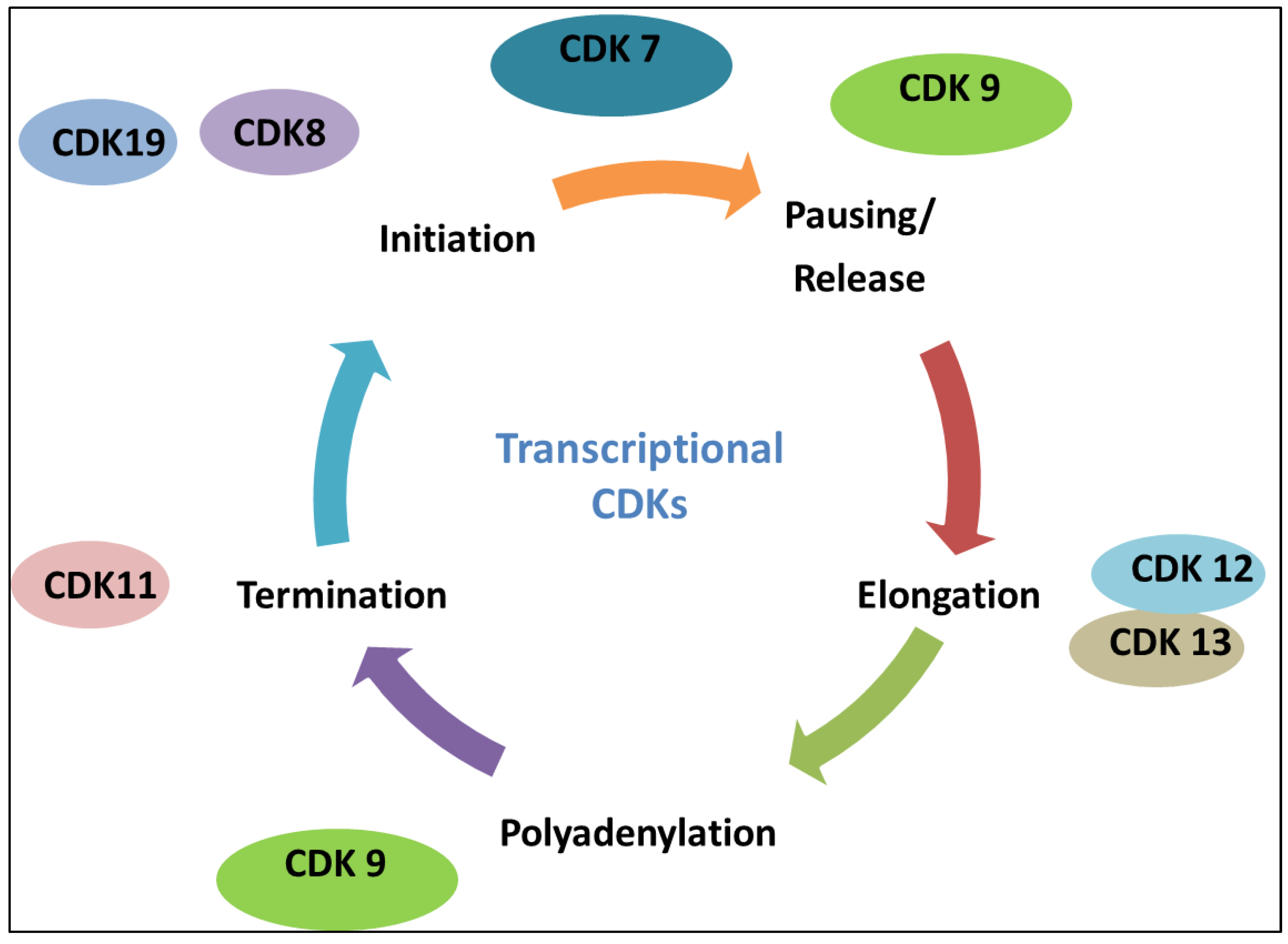 Cancers 17 01554 g002
