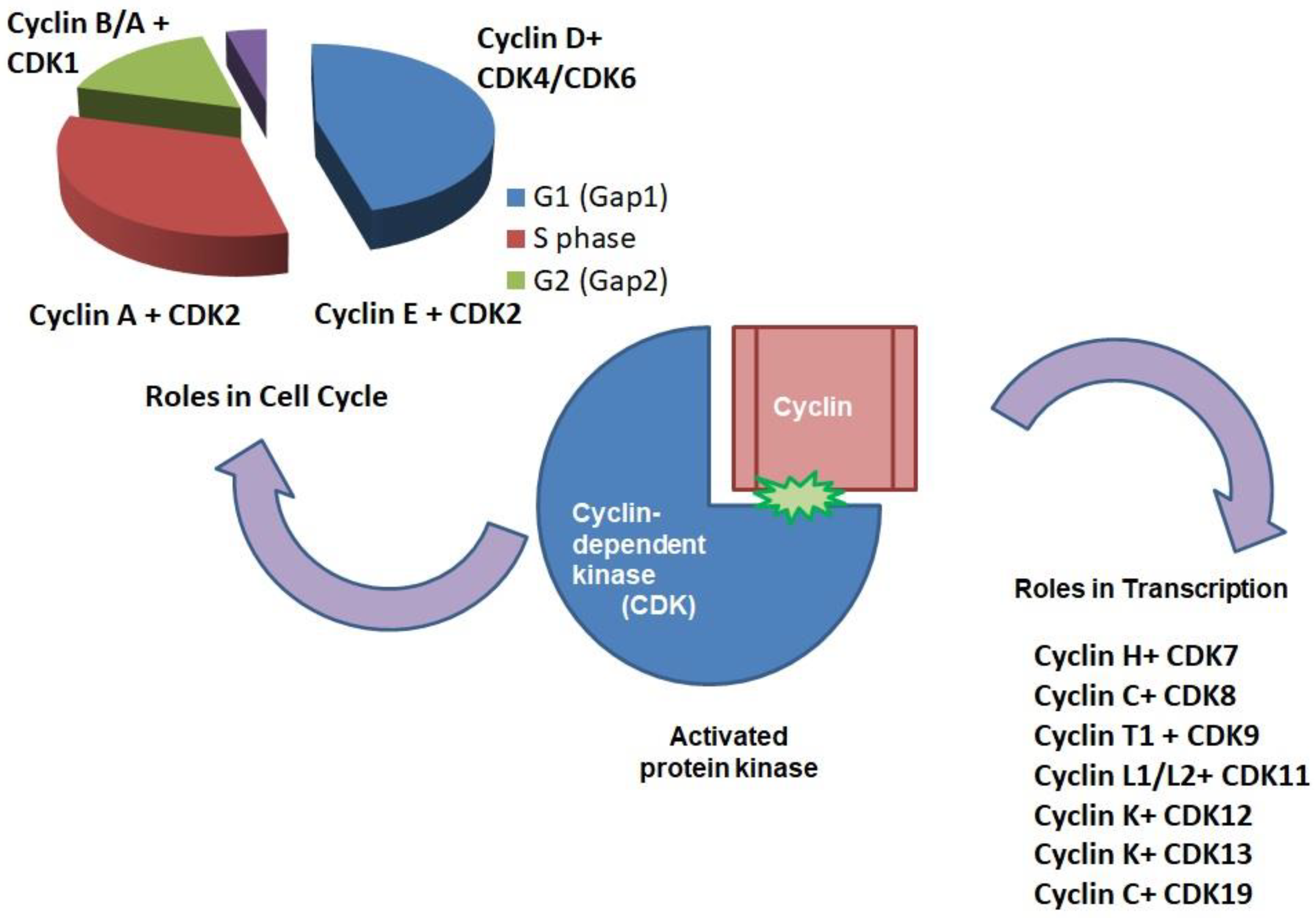 Cancers 17 01554 g003