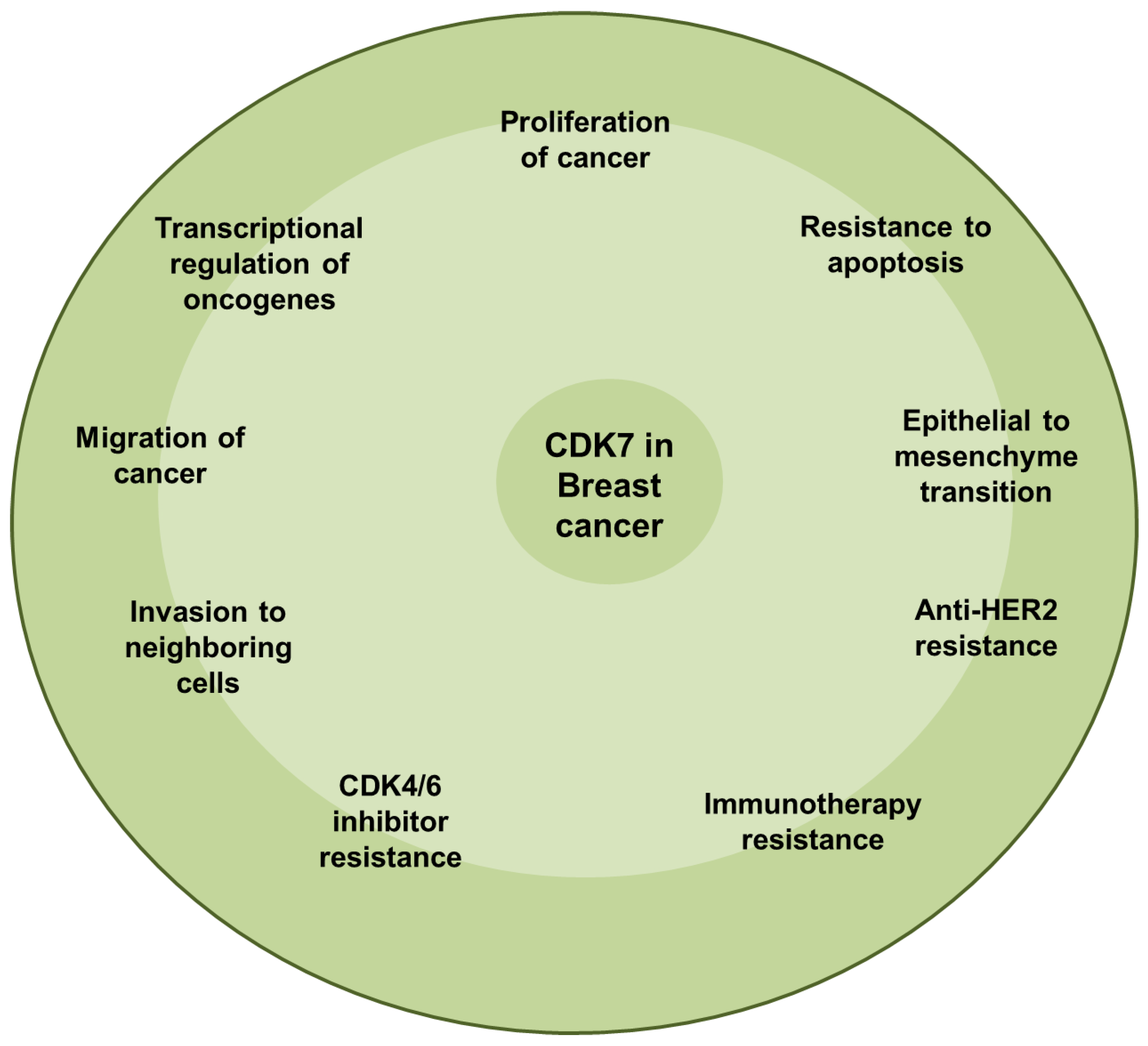 Cancers 17 01554 g005