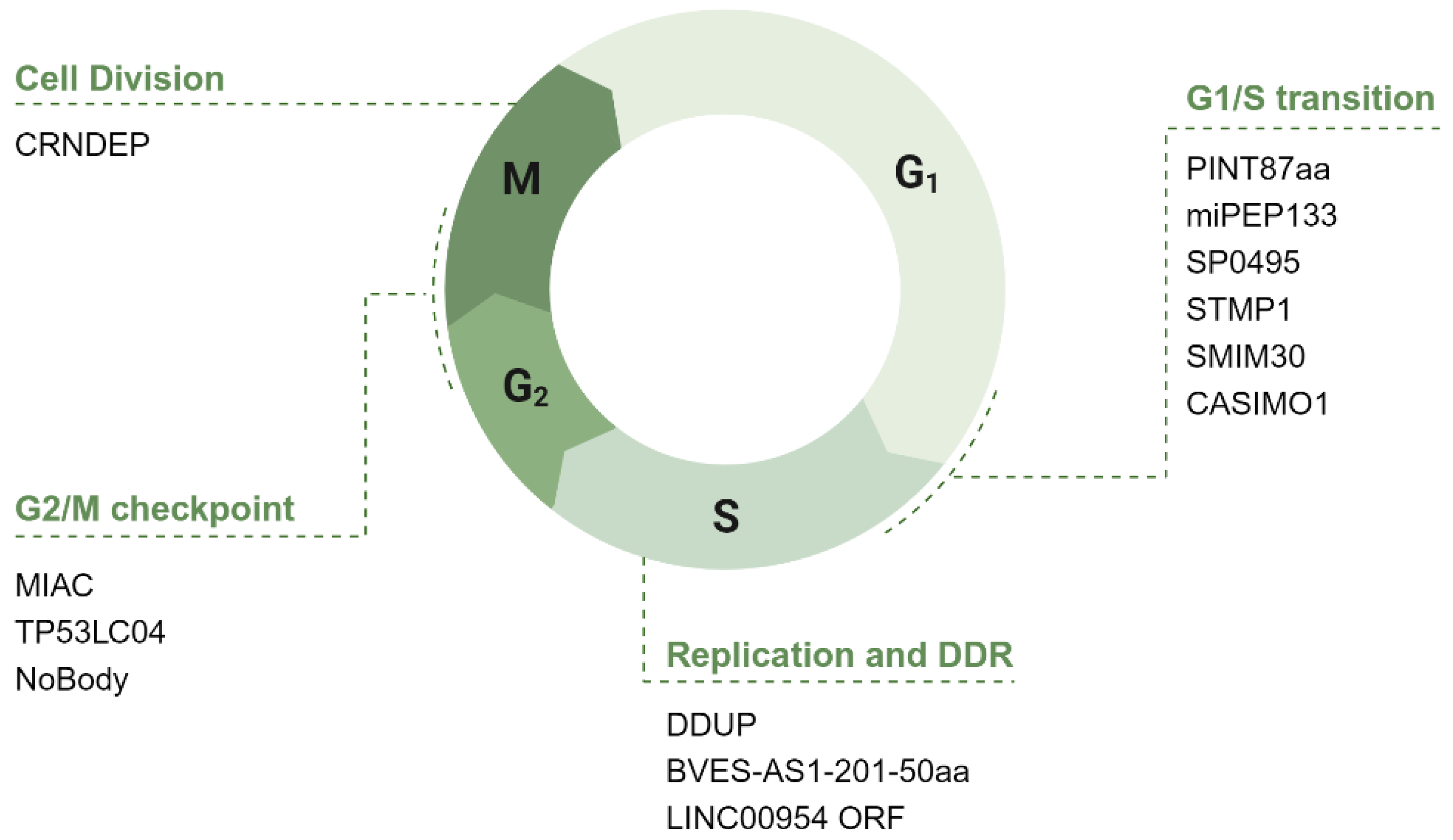 Cancers 17 01555 g006