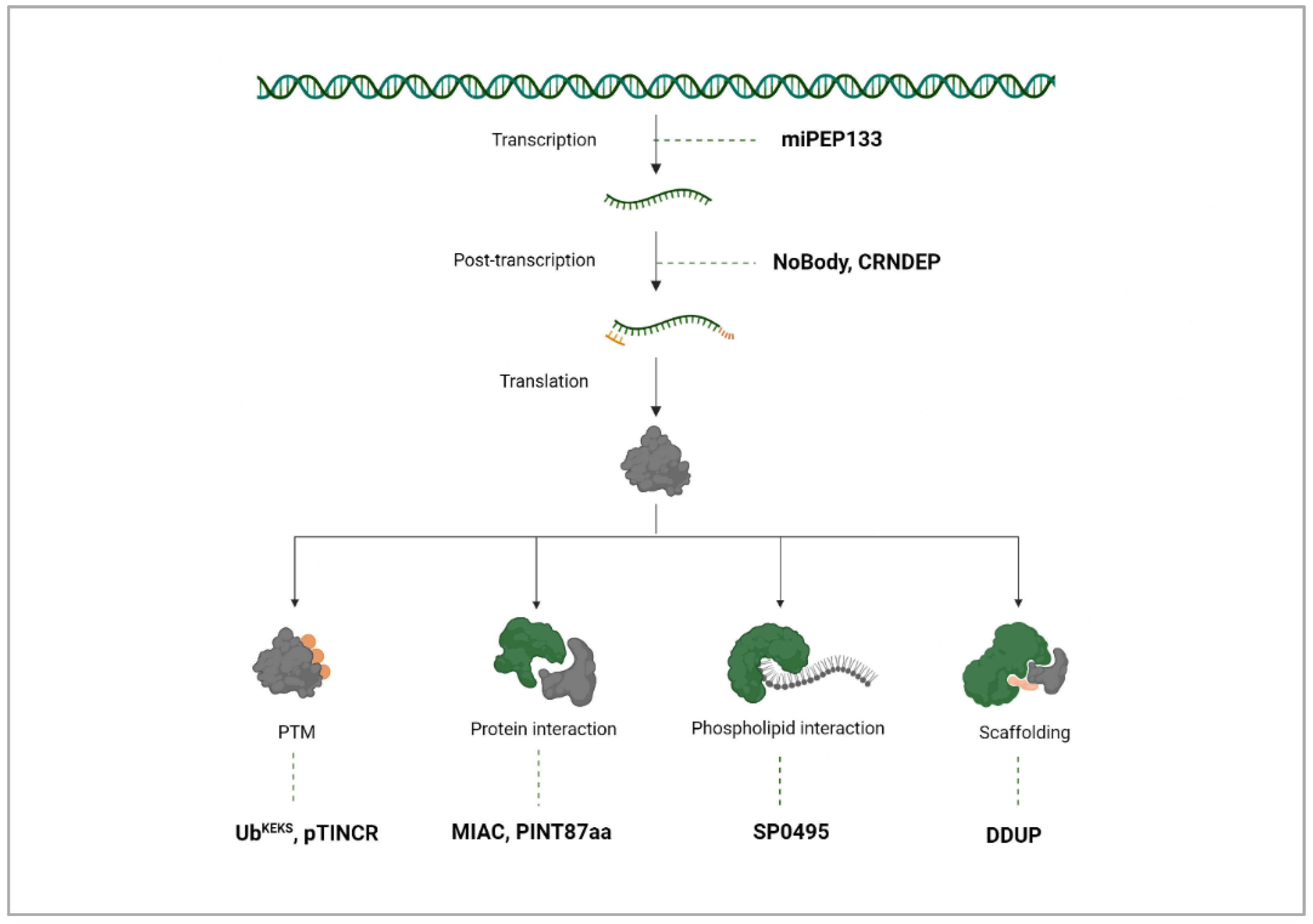 Cancers 17 01555 g008