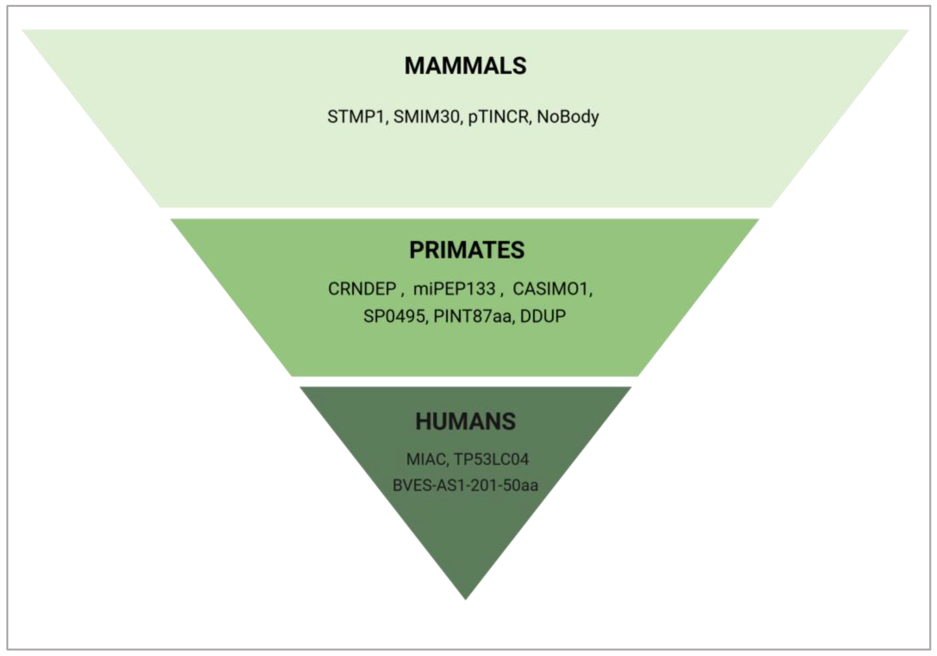 Cancers 17 01555 g009
