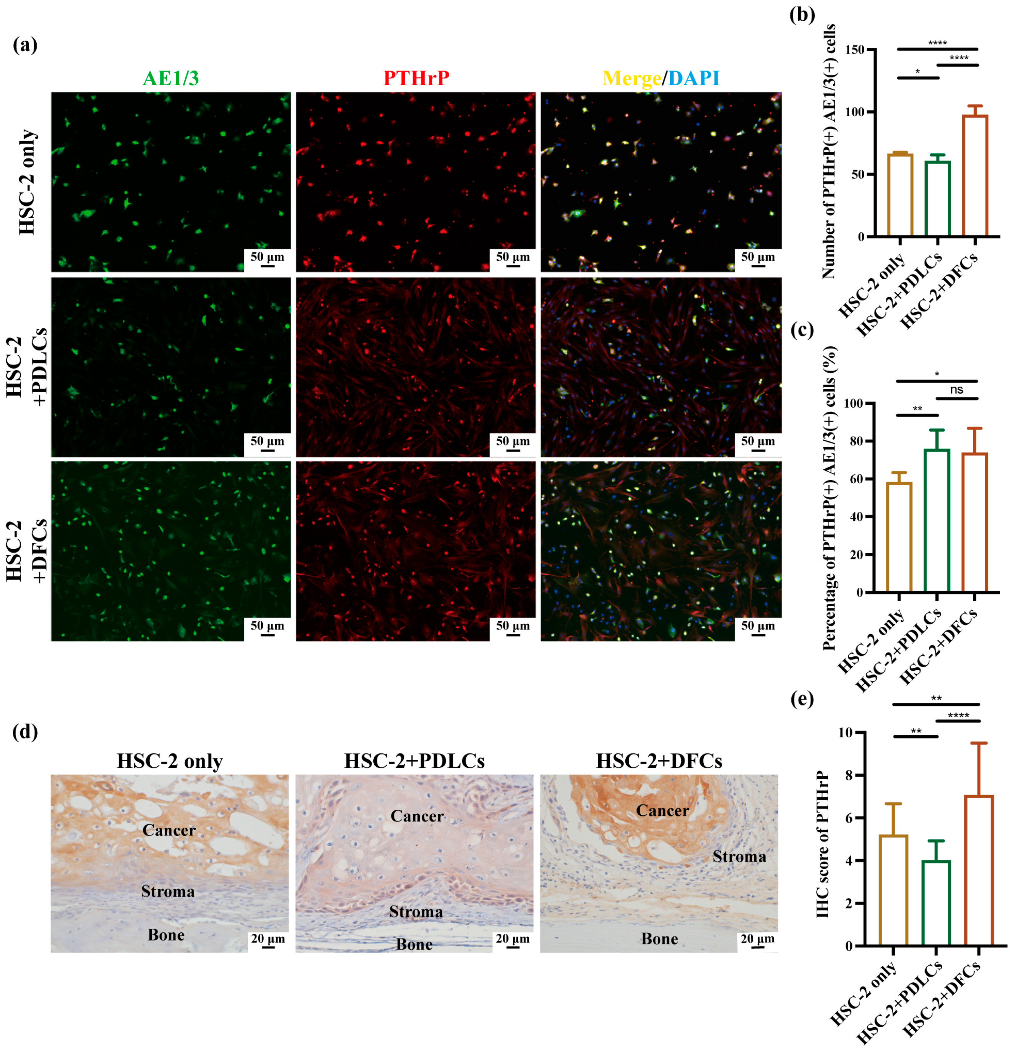 Cancers 17 01559 g005