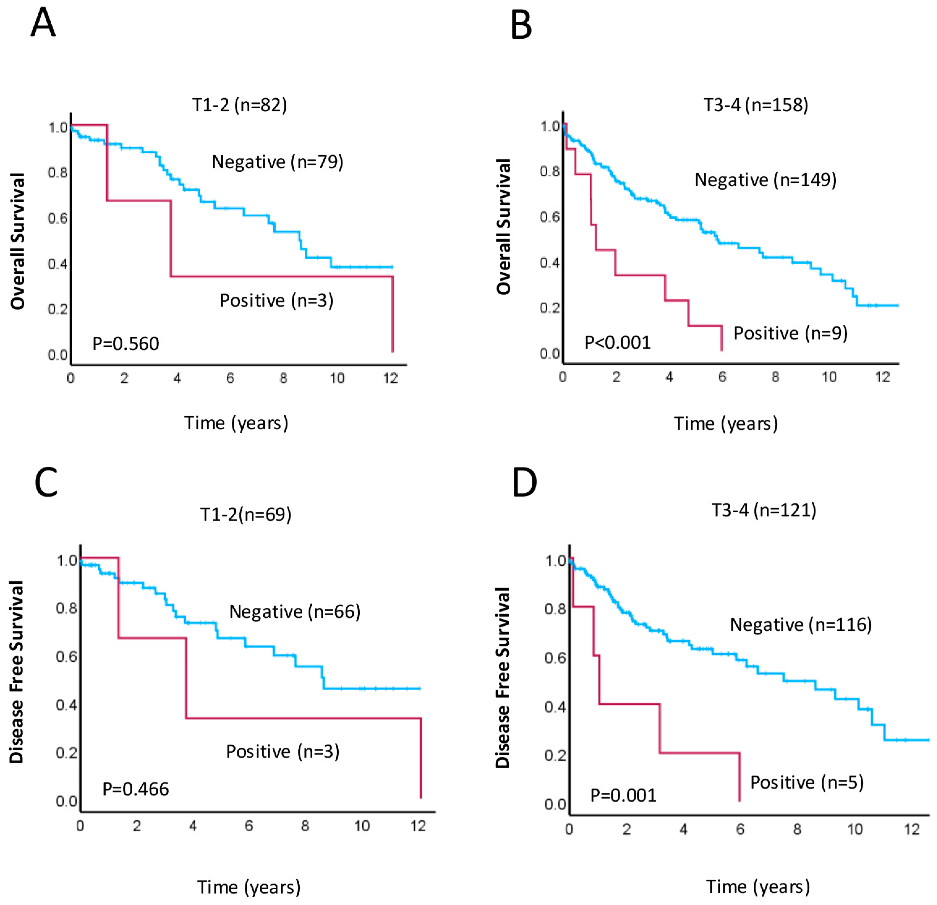 Cancers 17 01568 g004
