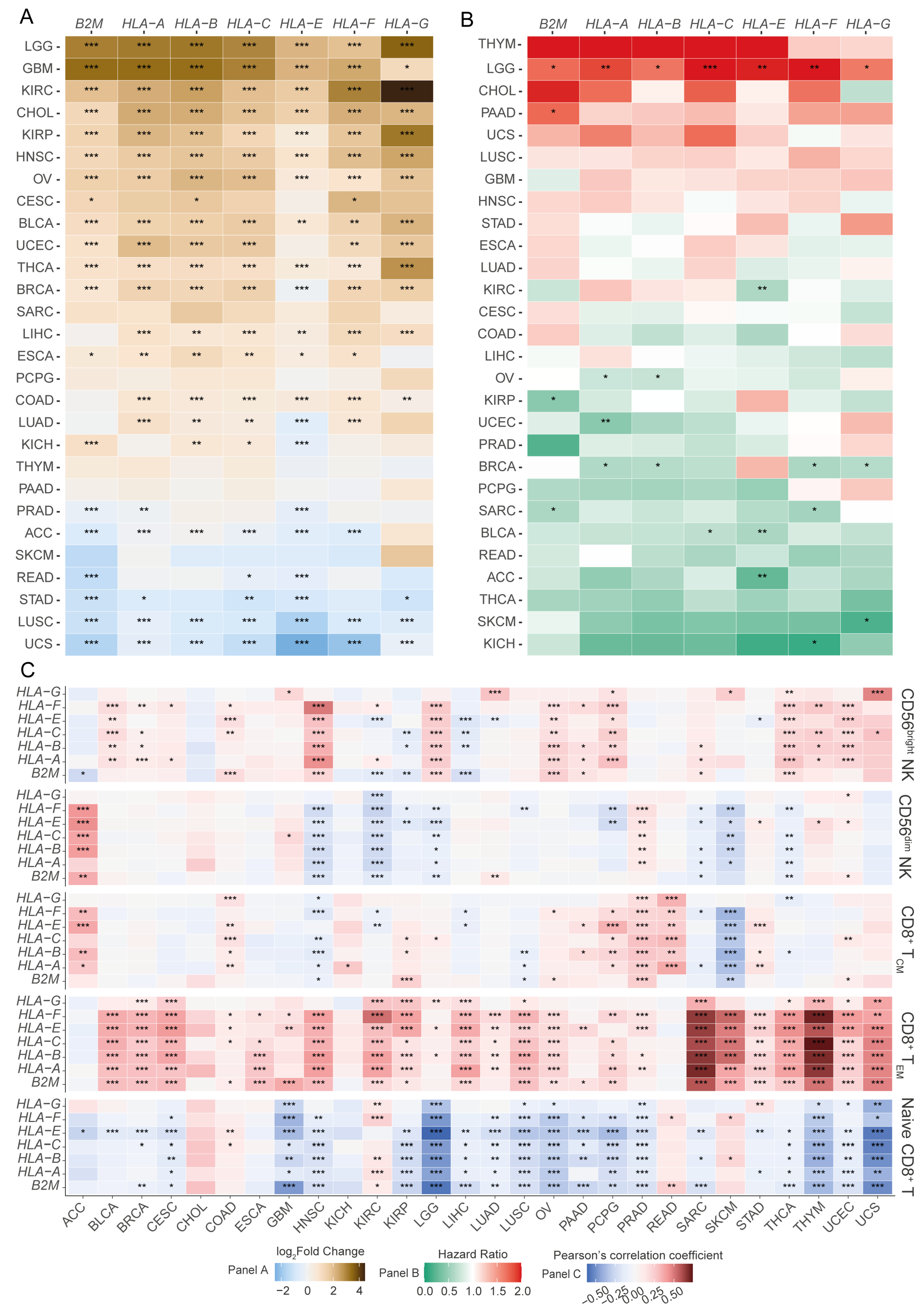 Cancers 17 01570 g001