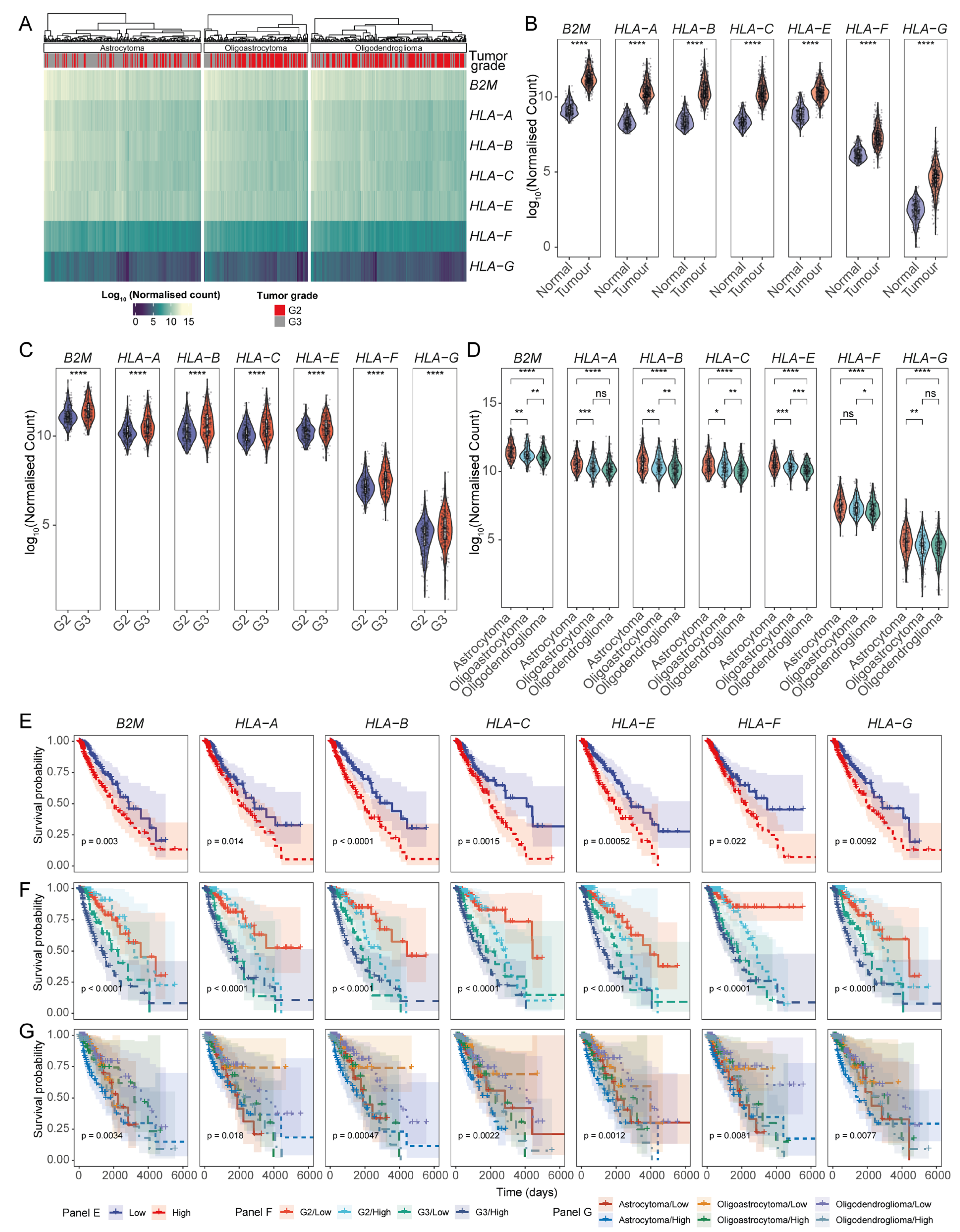 Cancers 17 01570 g002