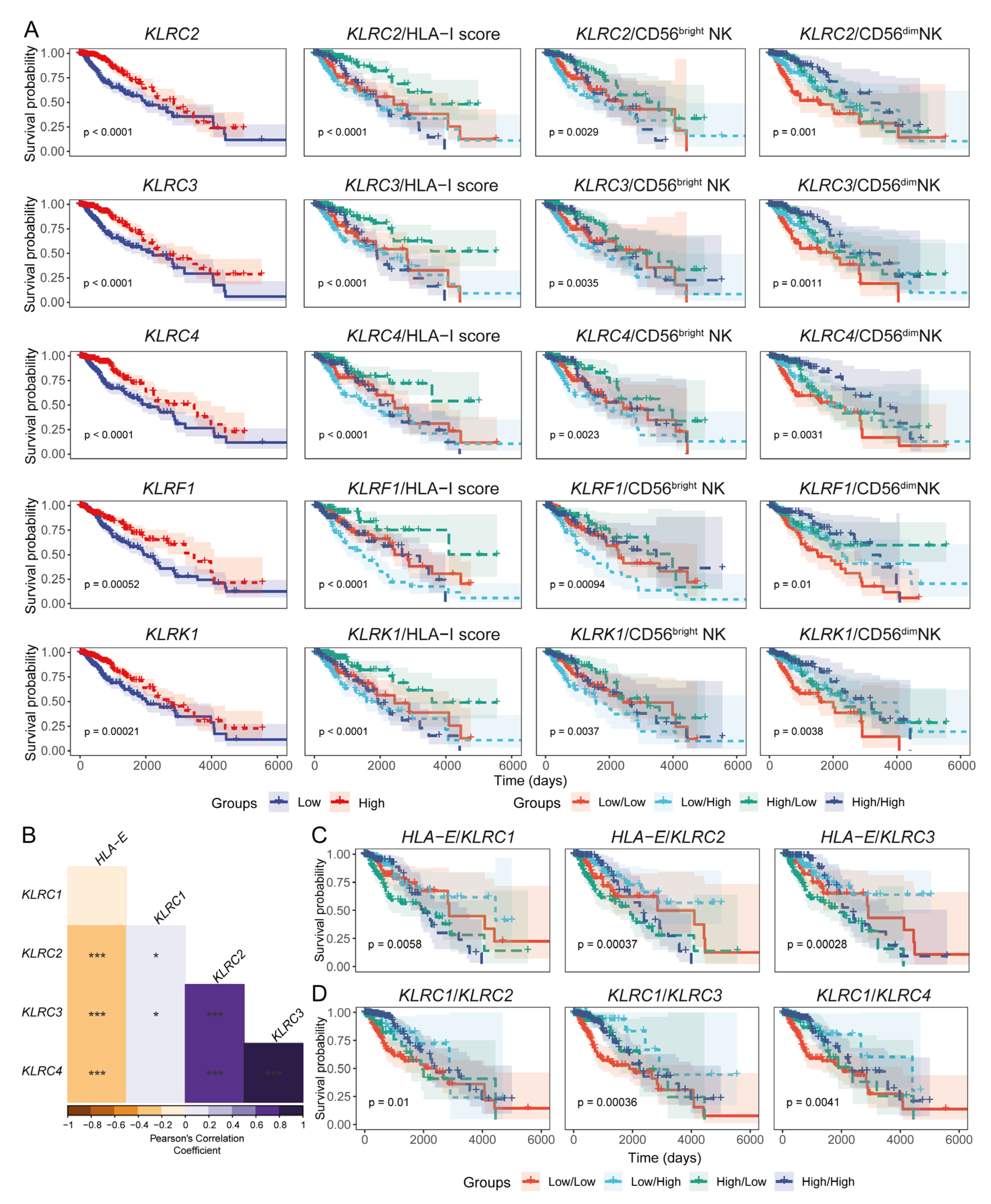 Cancers 17 01570 g005