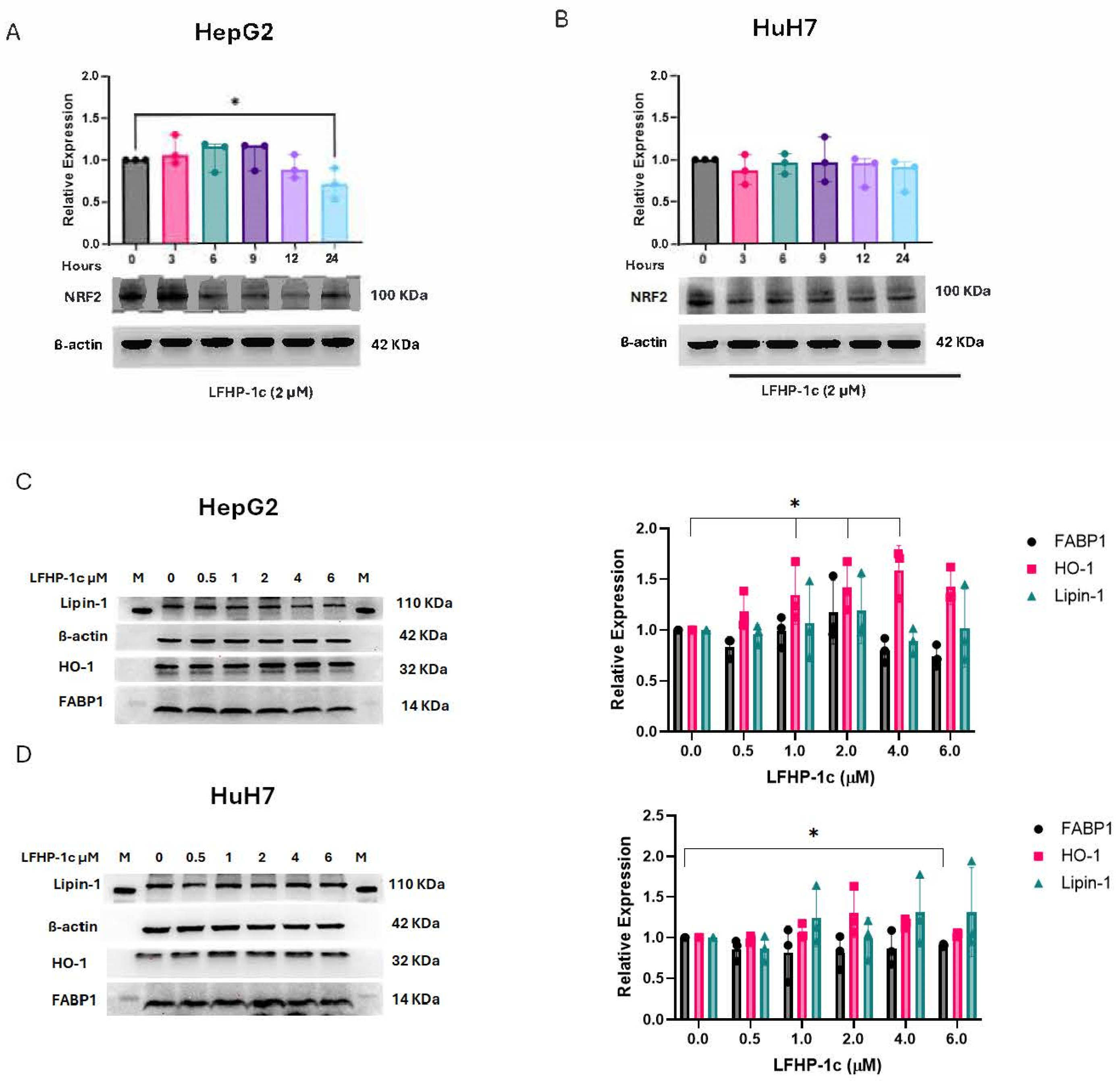 Cancers 17 01573 g002