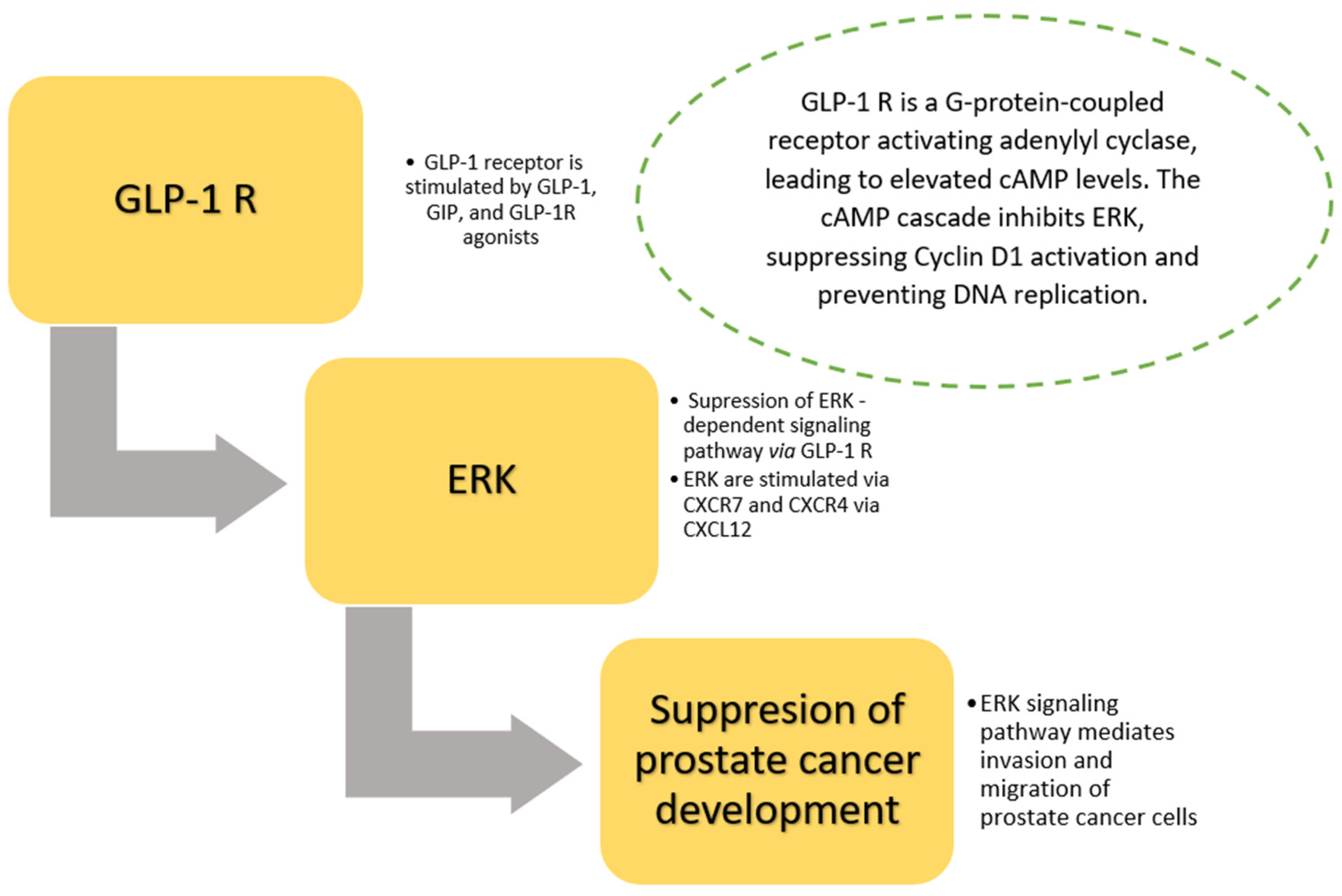 Cancers 17 01576 g002
