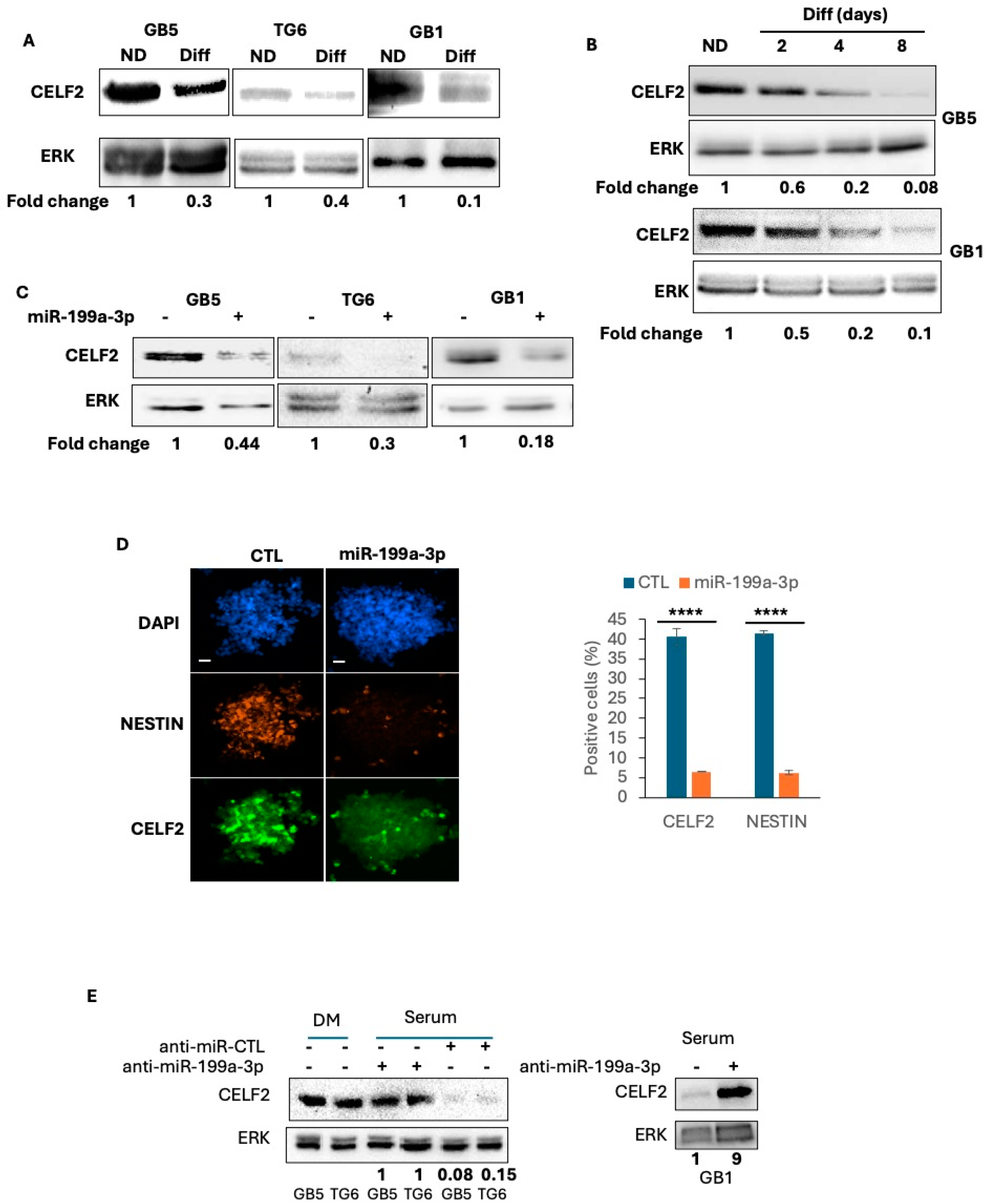 Cancers 17 01583 g002
