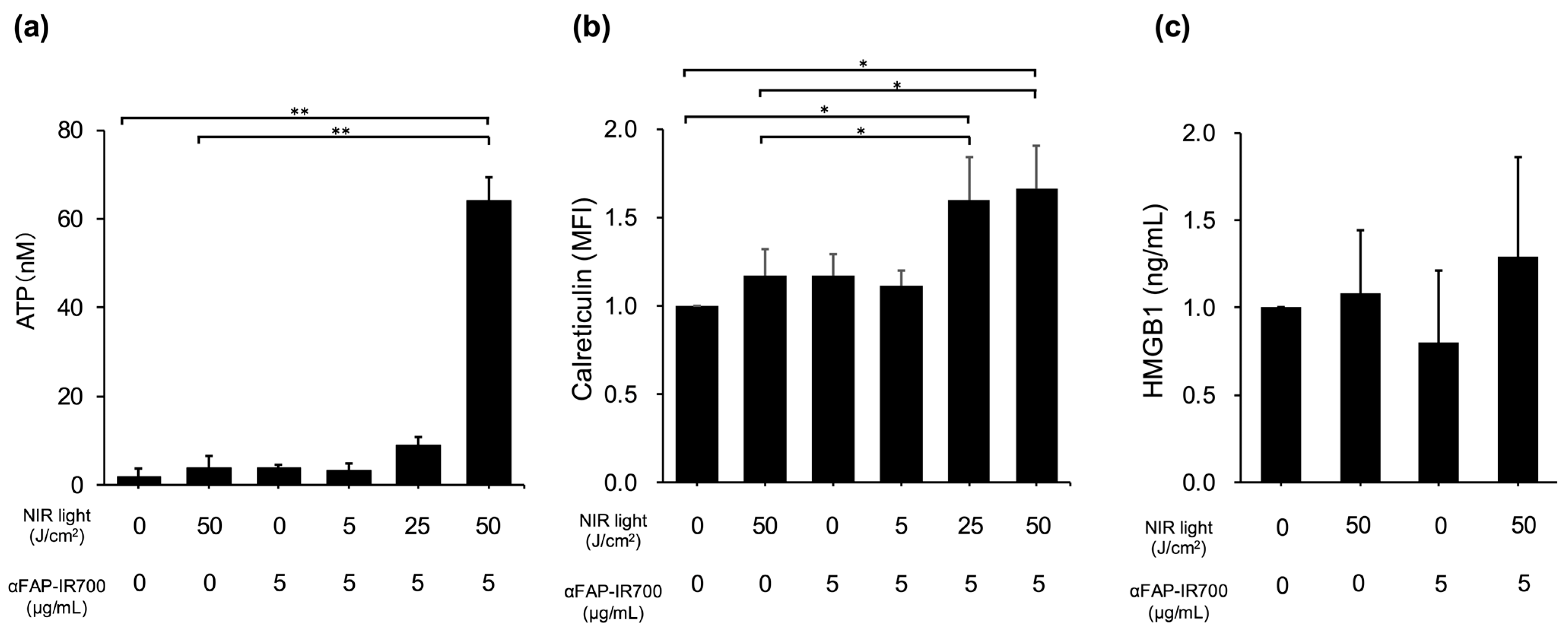 Cancers 17 01584 g006
