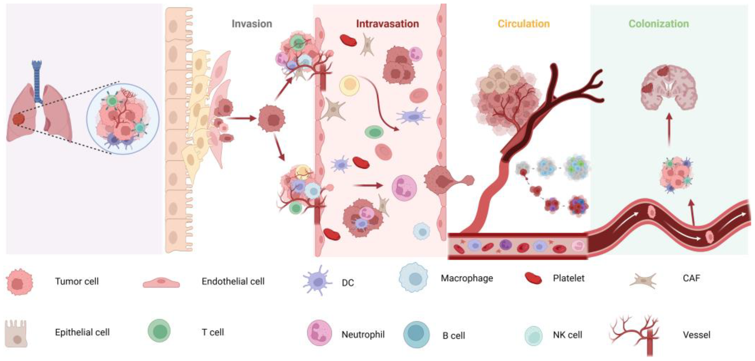 Cancers 17 01588 g001