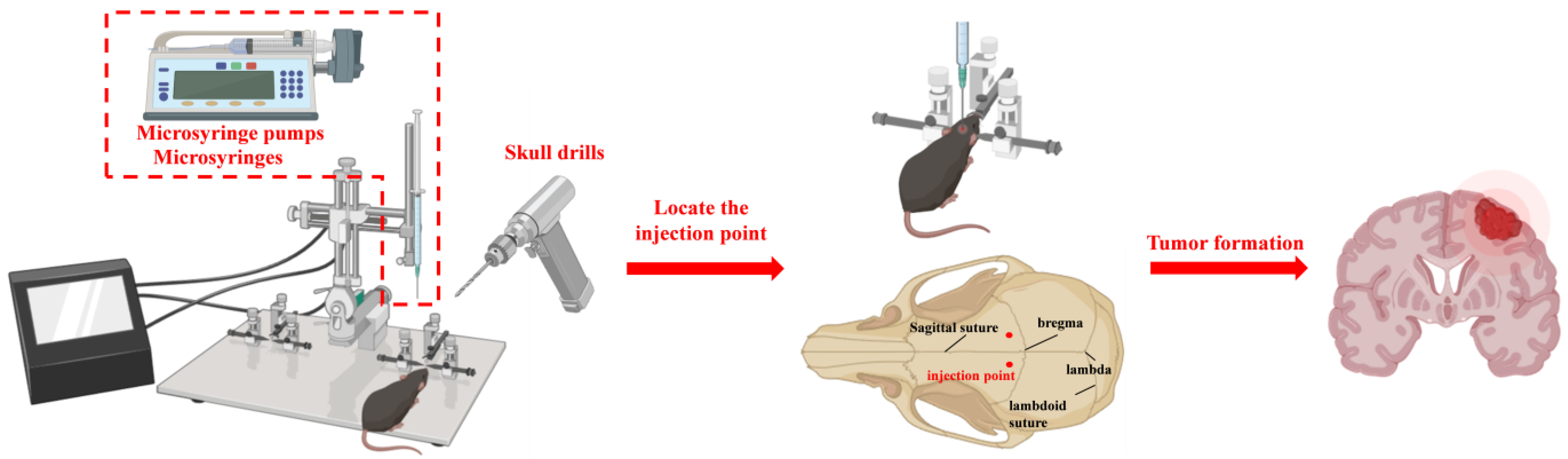 Cancers 17 01588 g002