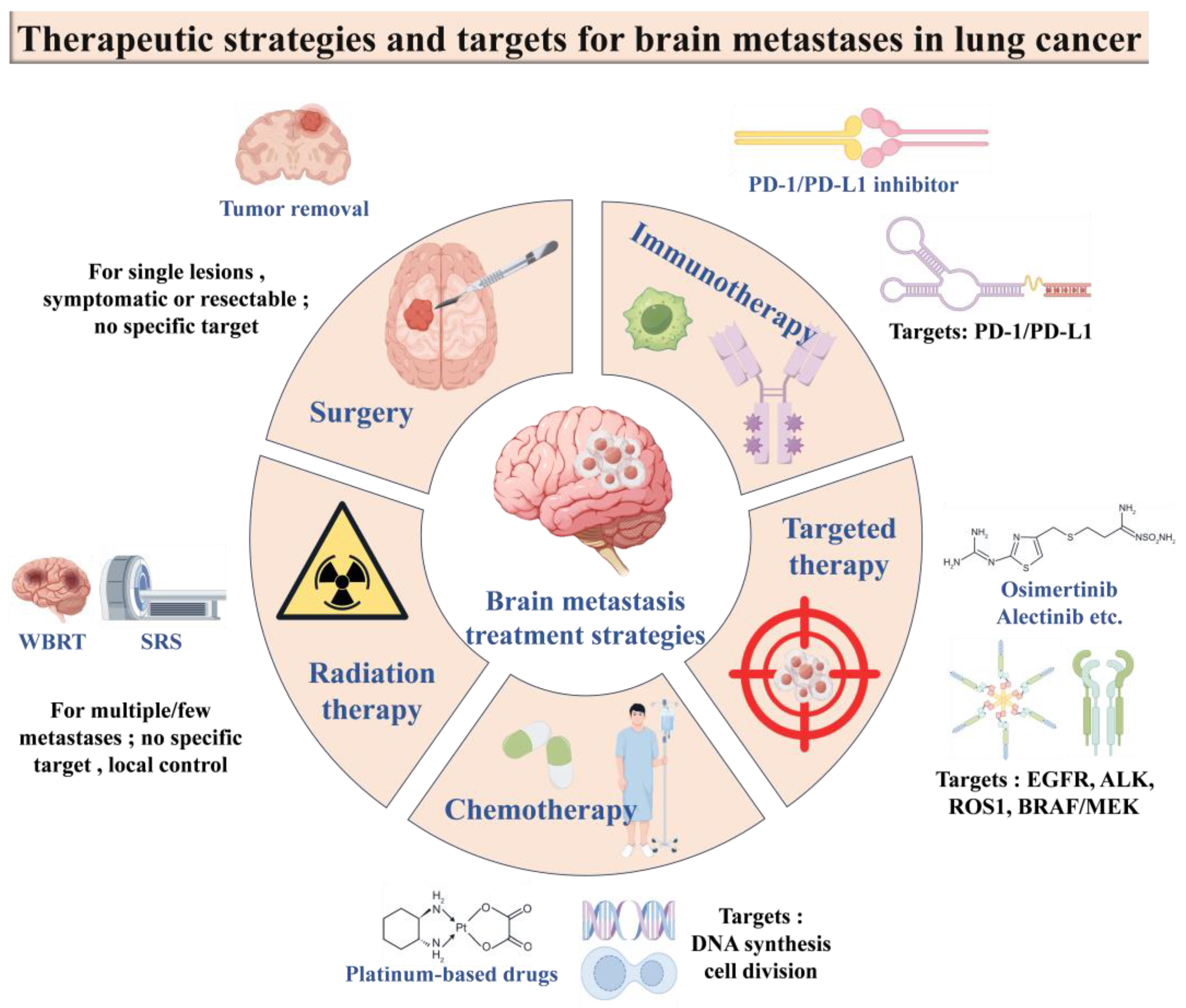 Cancers 17 01588 g004