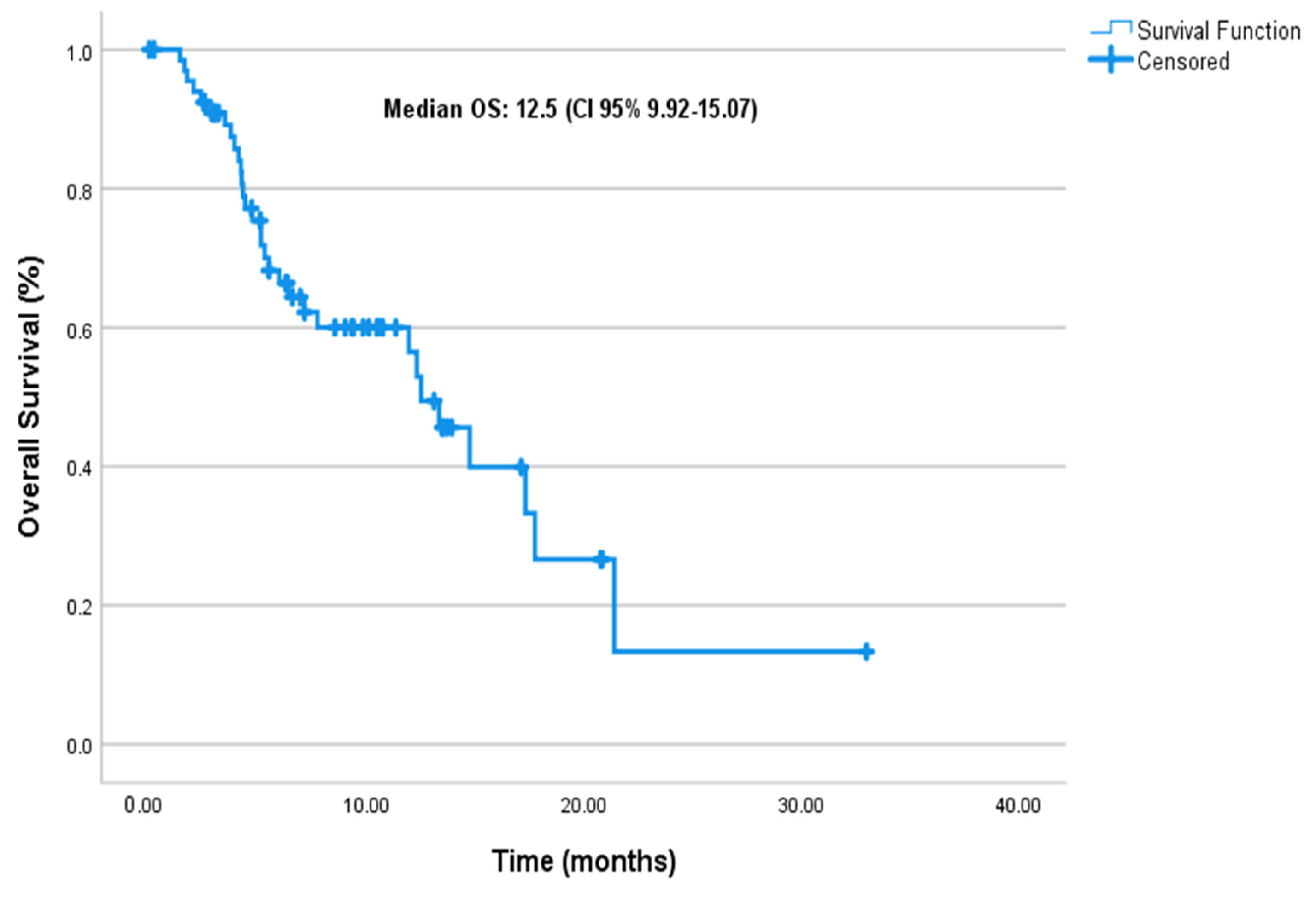 Cancers 17 01592 g002
