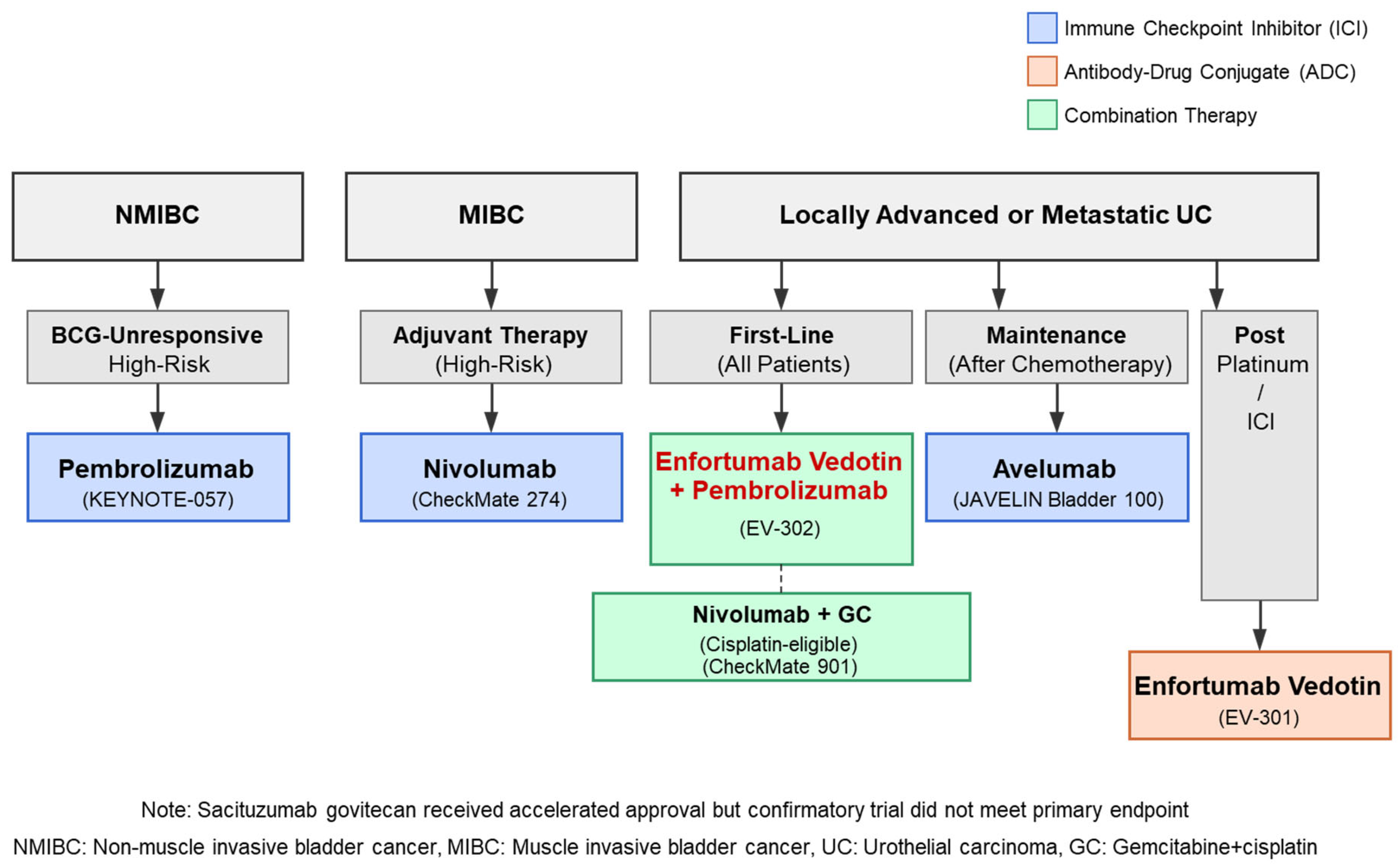 Cancers 17 01594 g001