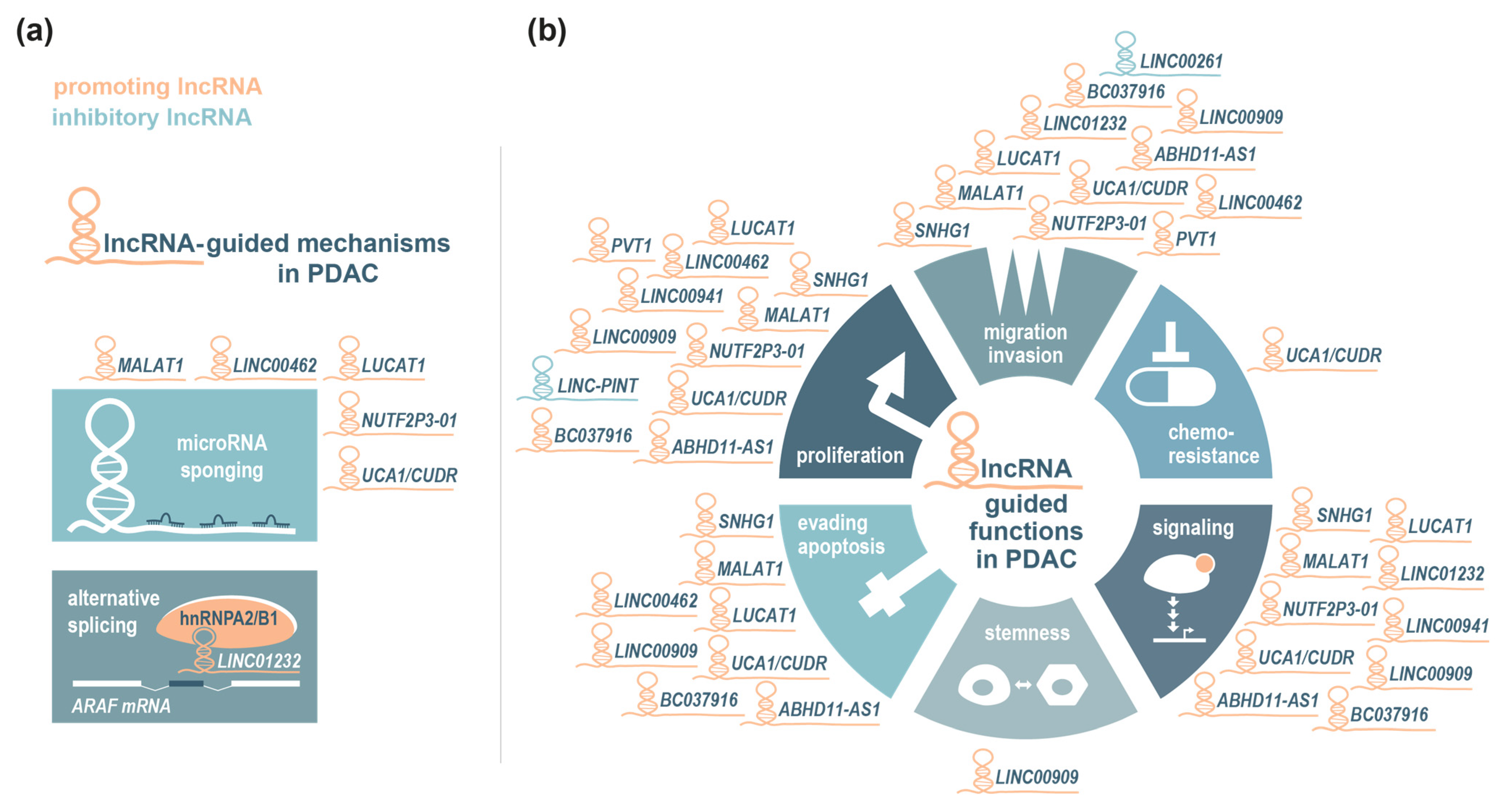Cancers 17 01601 g001 Cancers 17 01601 g001