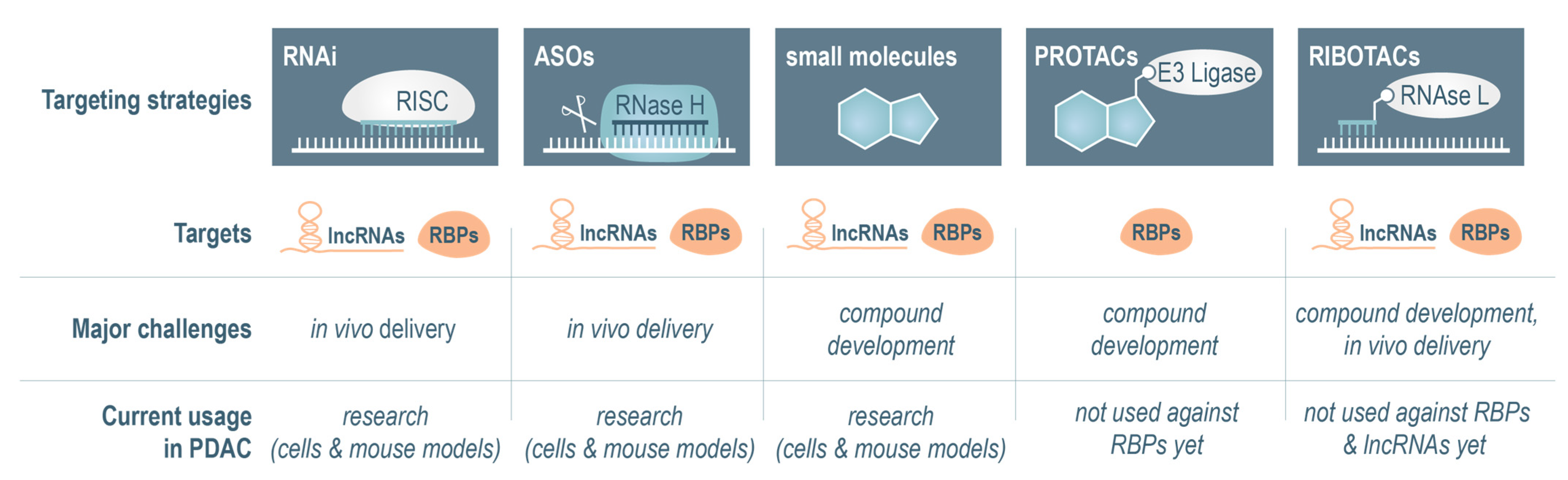 Cancers 17 01601 g003 Cancers 17 01601 g003