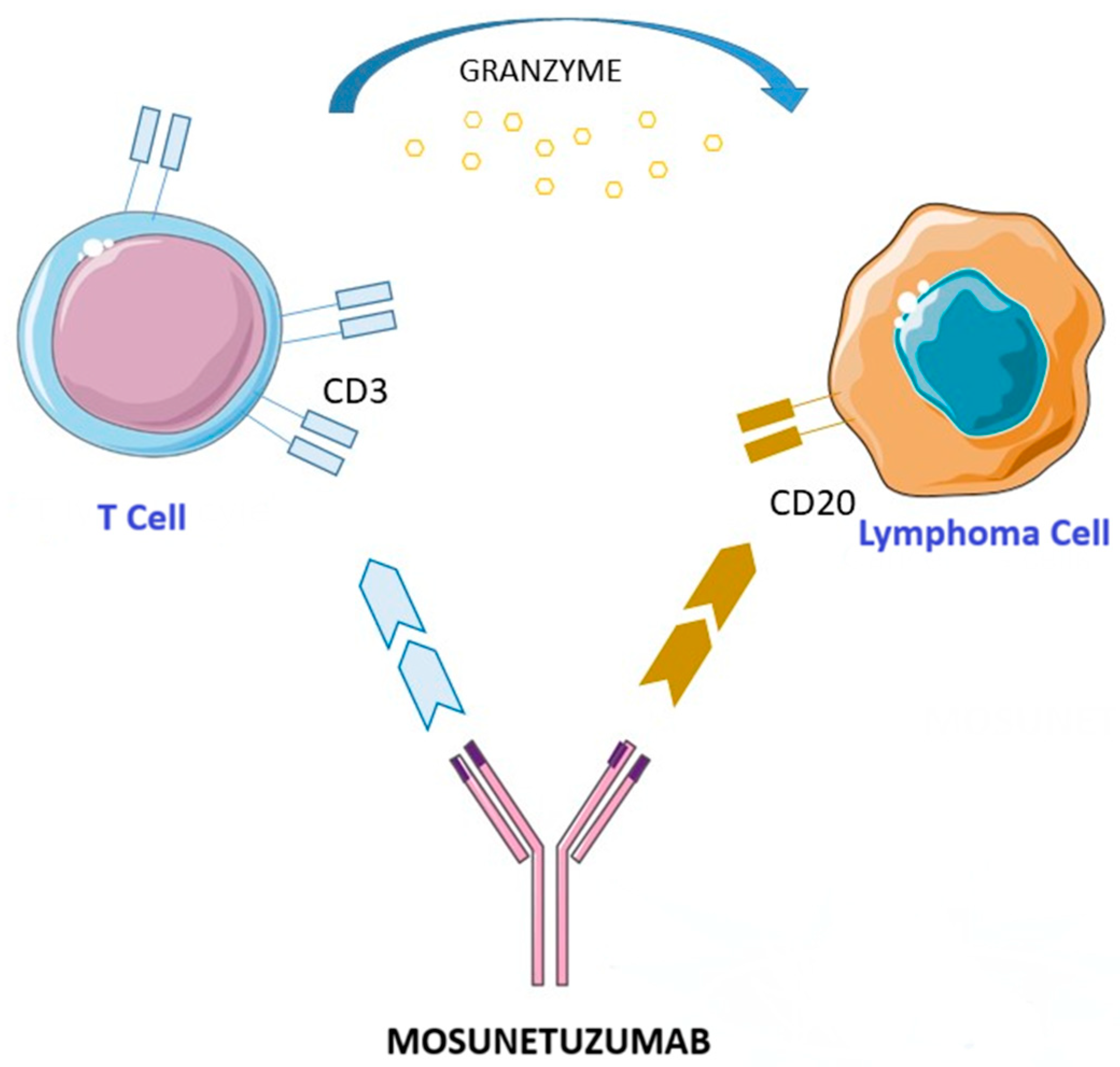 Cancers 17 01602 g001