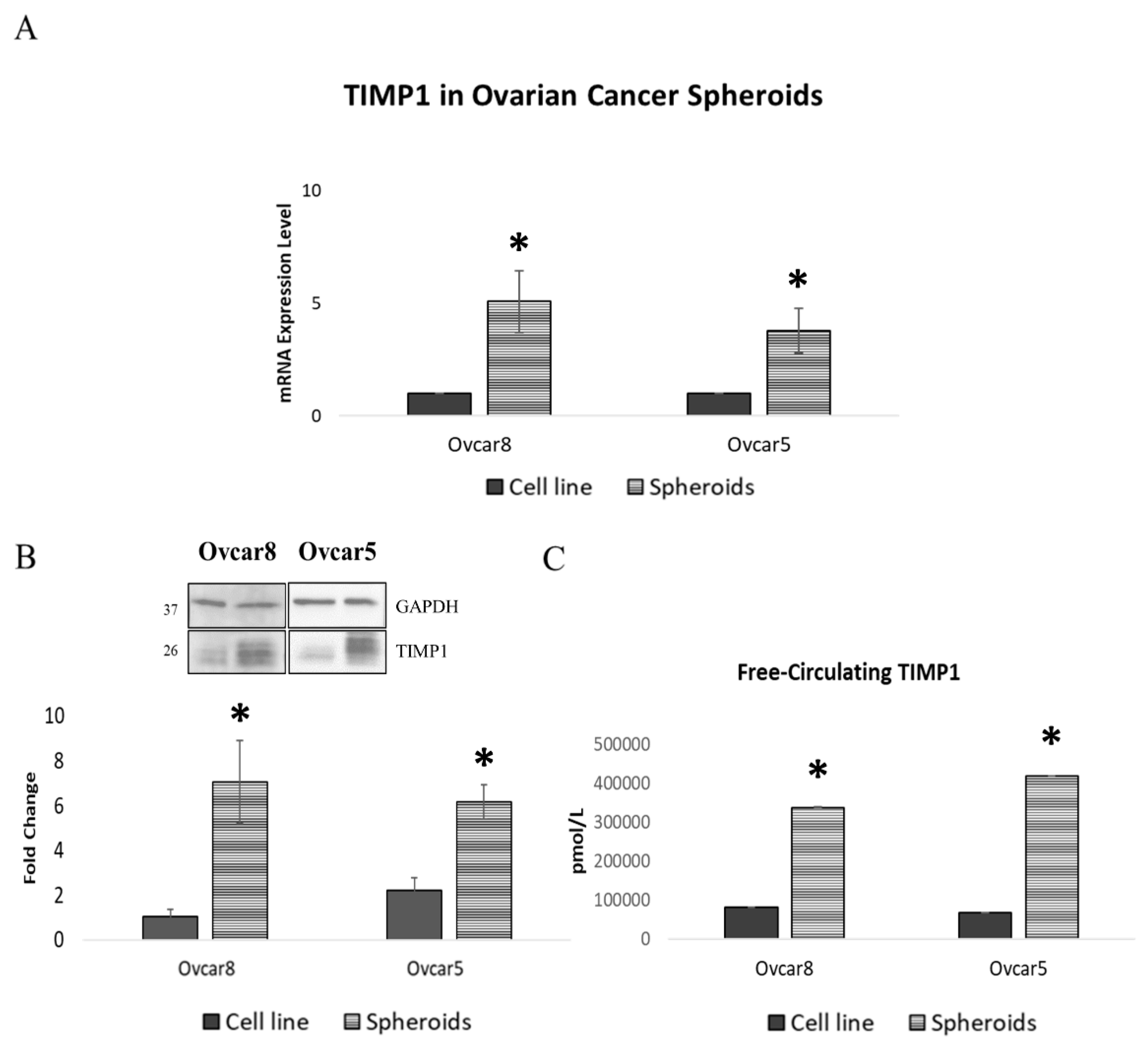 Cancers 17 01605 g001